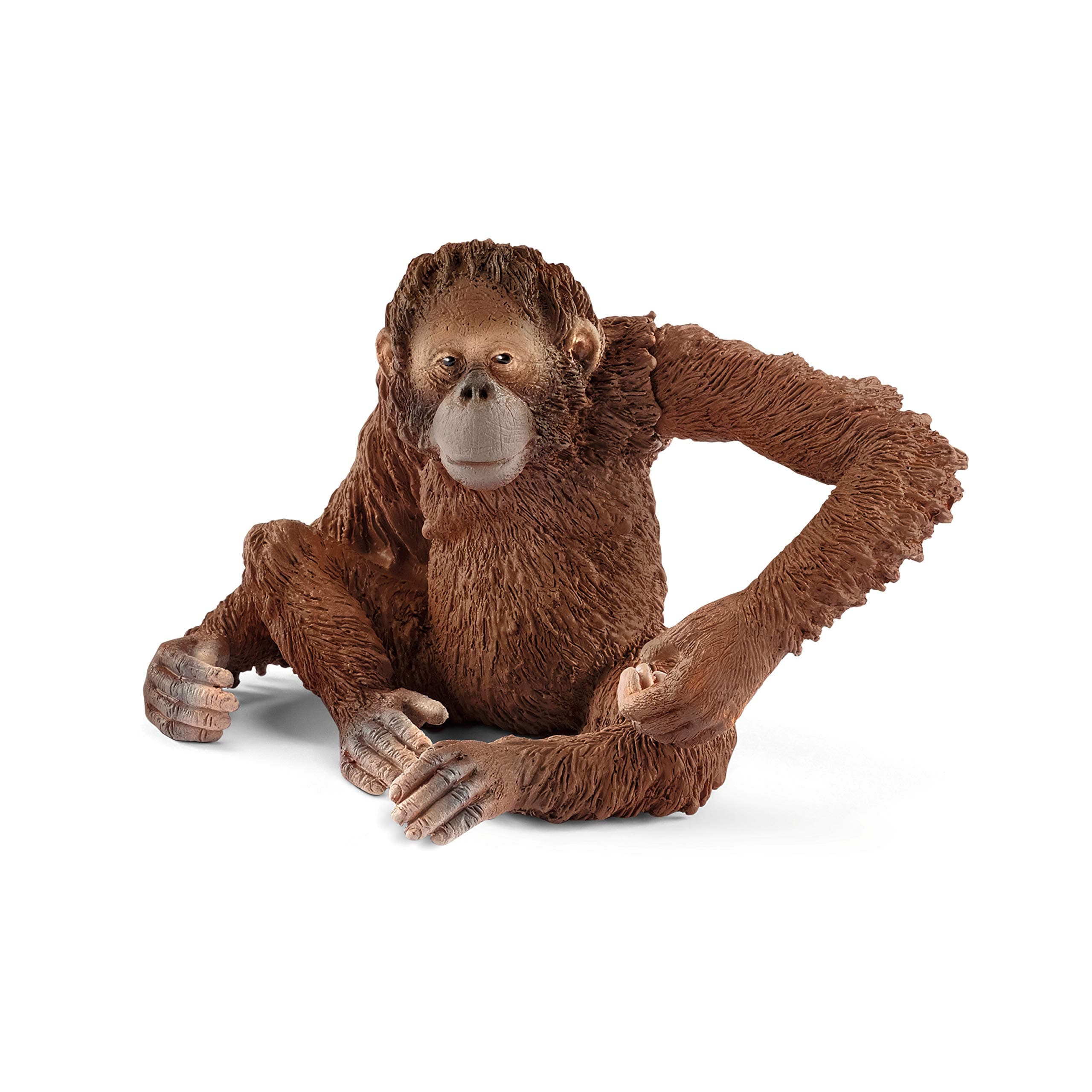 SCHLEICH 14775 Orangutan, female Wild Life Toy Figurine for children aged 3-8 Years