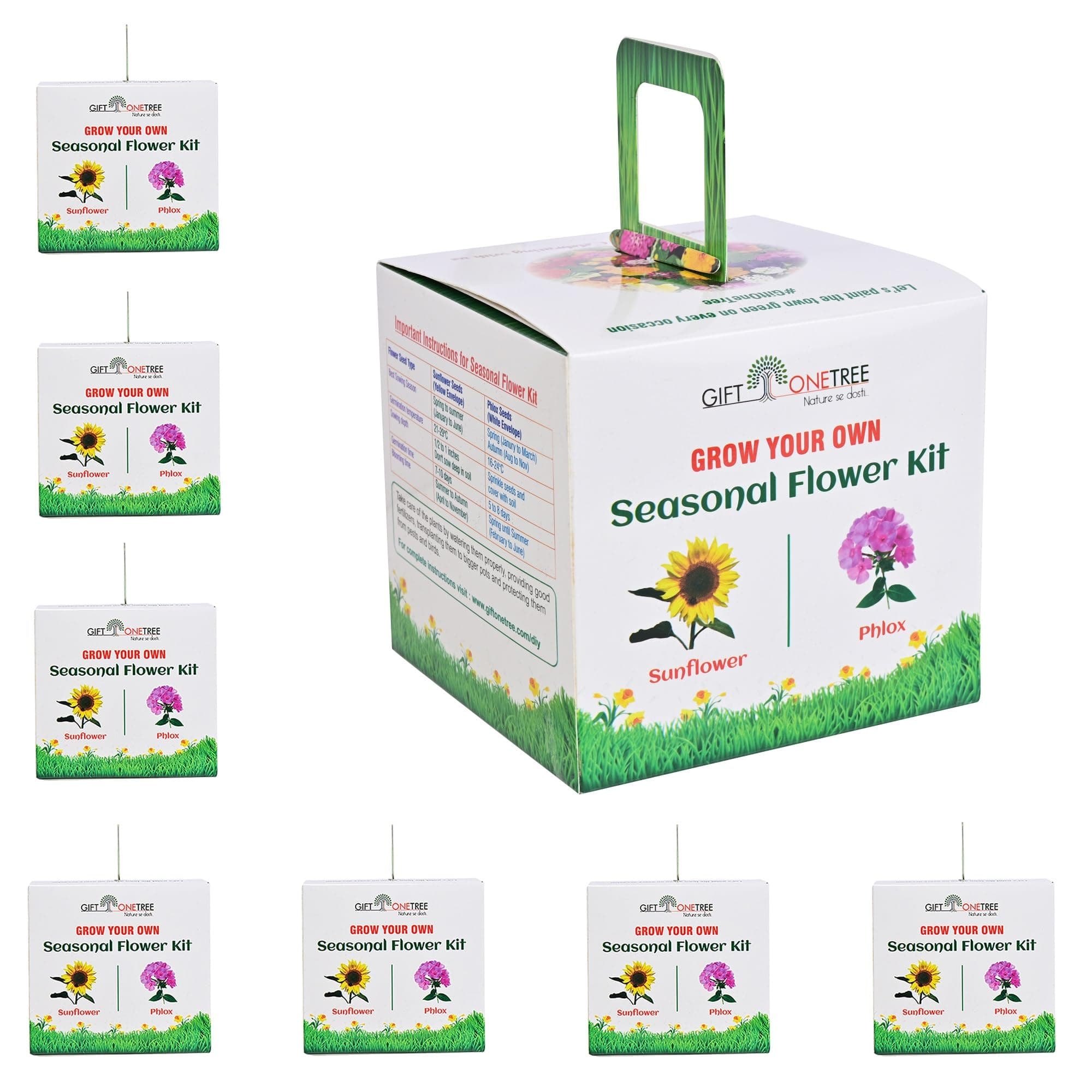Giftonetree Grow Your Own Seasonal Flower Premium Kit - Pack of 6 - Best Retu...