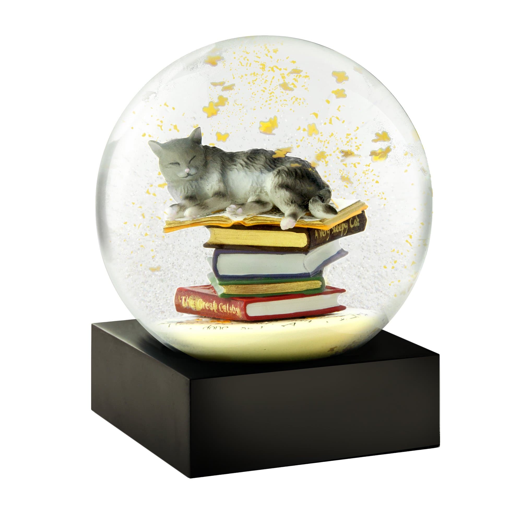 Cat on Books Cool Snow Globe