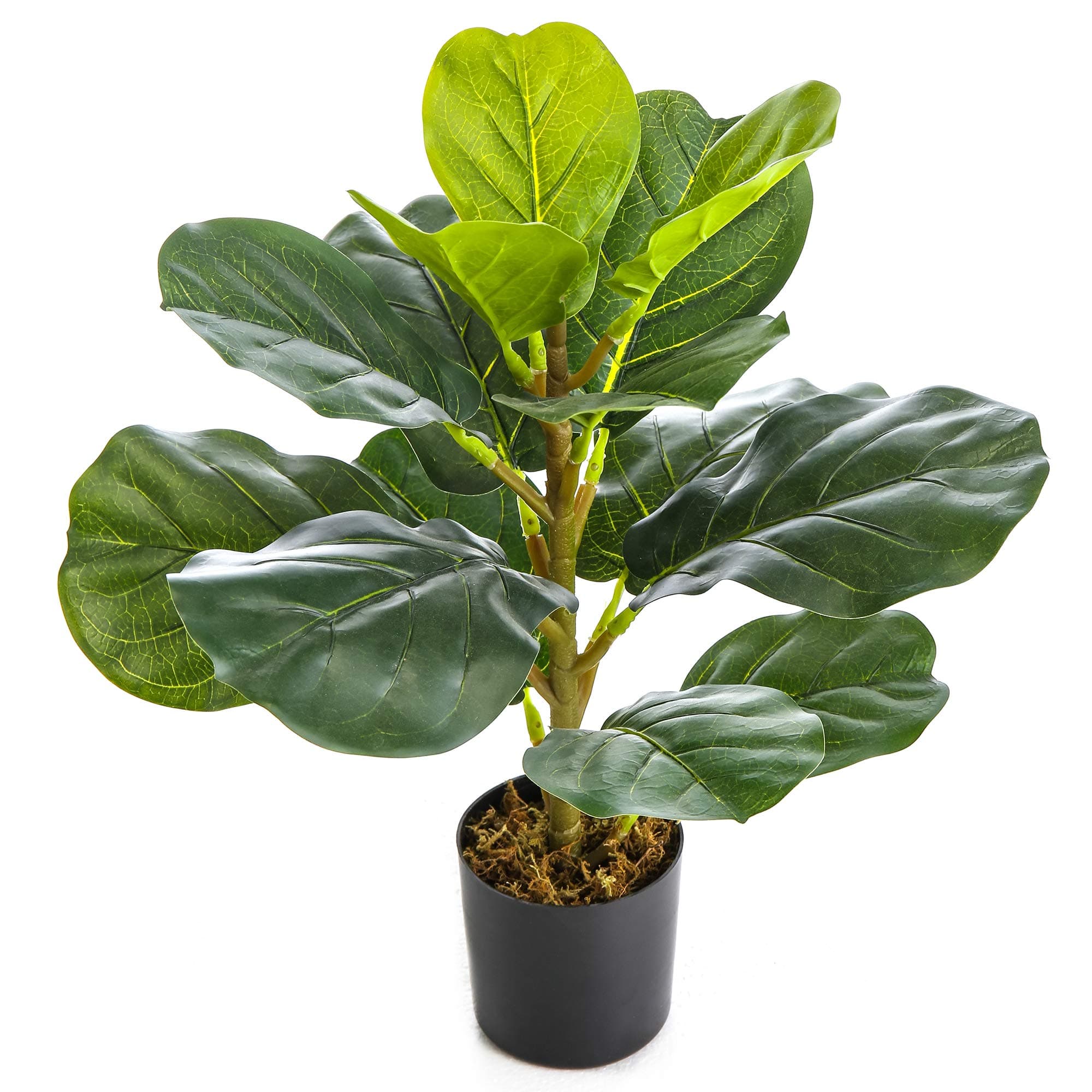 TreeishDécor Artificial Tabletop Plant, Silk Fake Fiddle Leaf Fig, Faux Ficus Lyrata, Tropical Plants, 19-inch, Indoor Outdoor Home & Office | With 4-inch Black Pot - Realistic Design - Foliage Decor