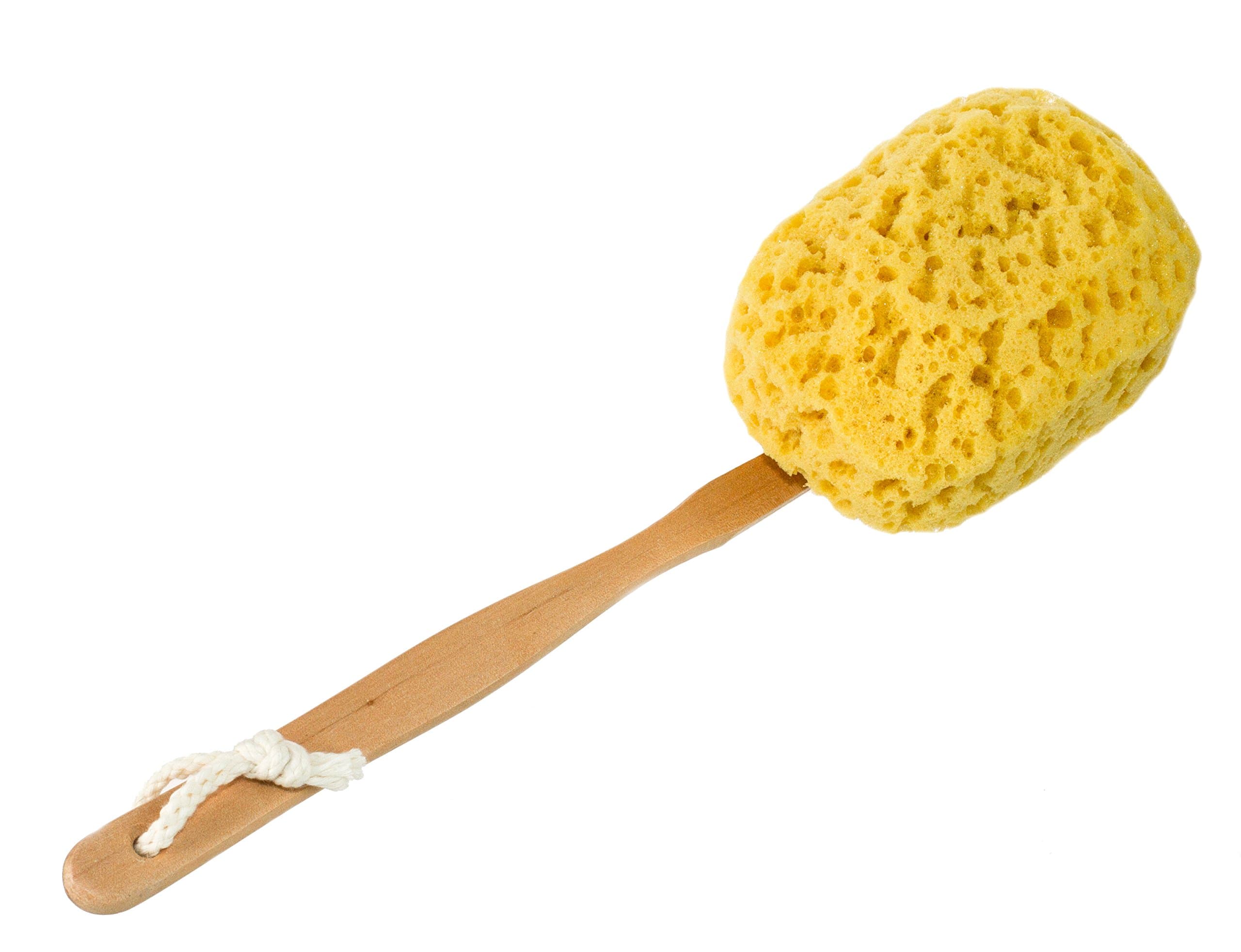 Bath & Shower Body Brush, Long Handled, Faux Sea Sponge Back Scrubber