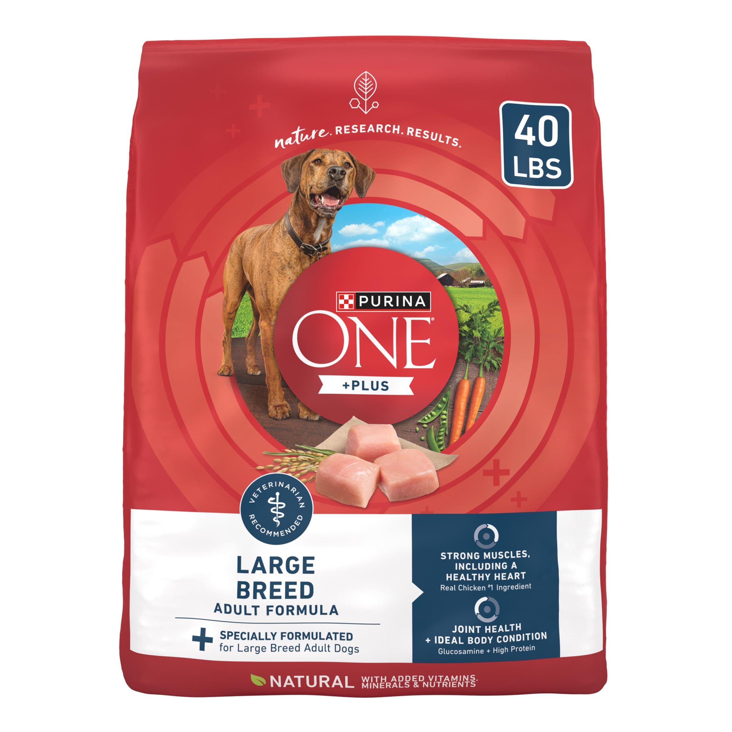 Plus Large Breed Adult Dog Food Dry Formula, Real Protein Rich Natural Chicken Flavor - 40 lb. Bag