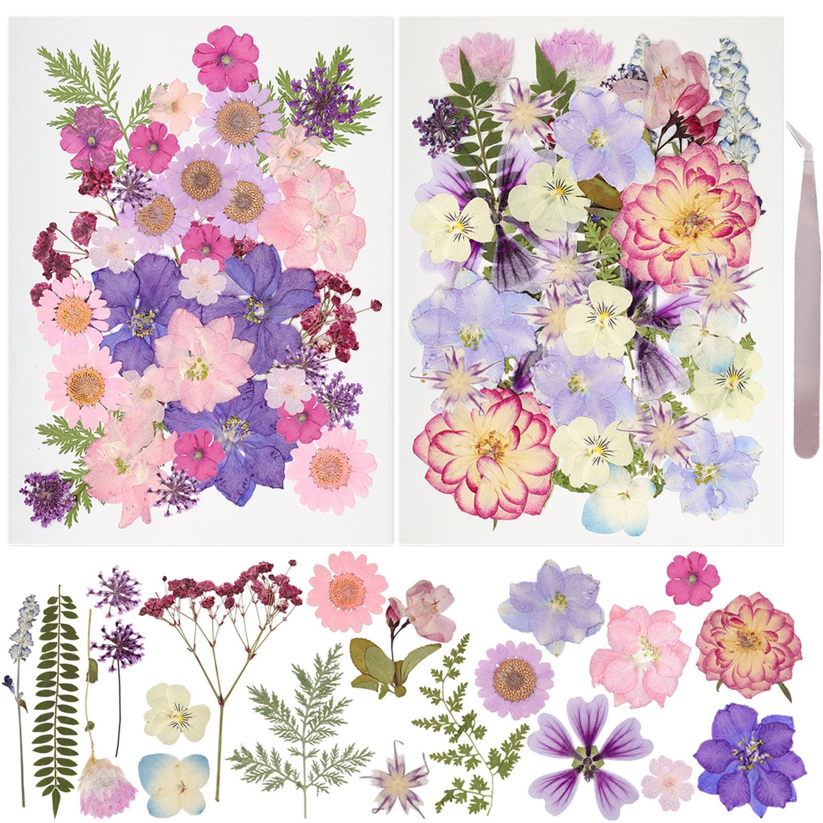 50Pcs Dried Pressed Flowers Resin Mould Real Pressed Flowers Natural Dry Leaves Bulk Mixed Colorful Daisy Herbs Kit with Tweezers for Scrapbooking DIY Candle Jewelry Crafts Making Nails(Purple)