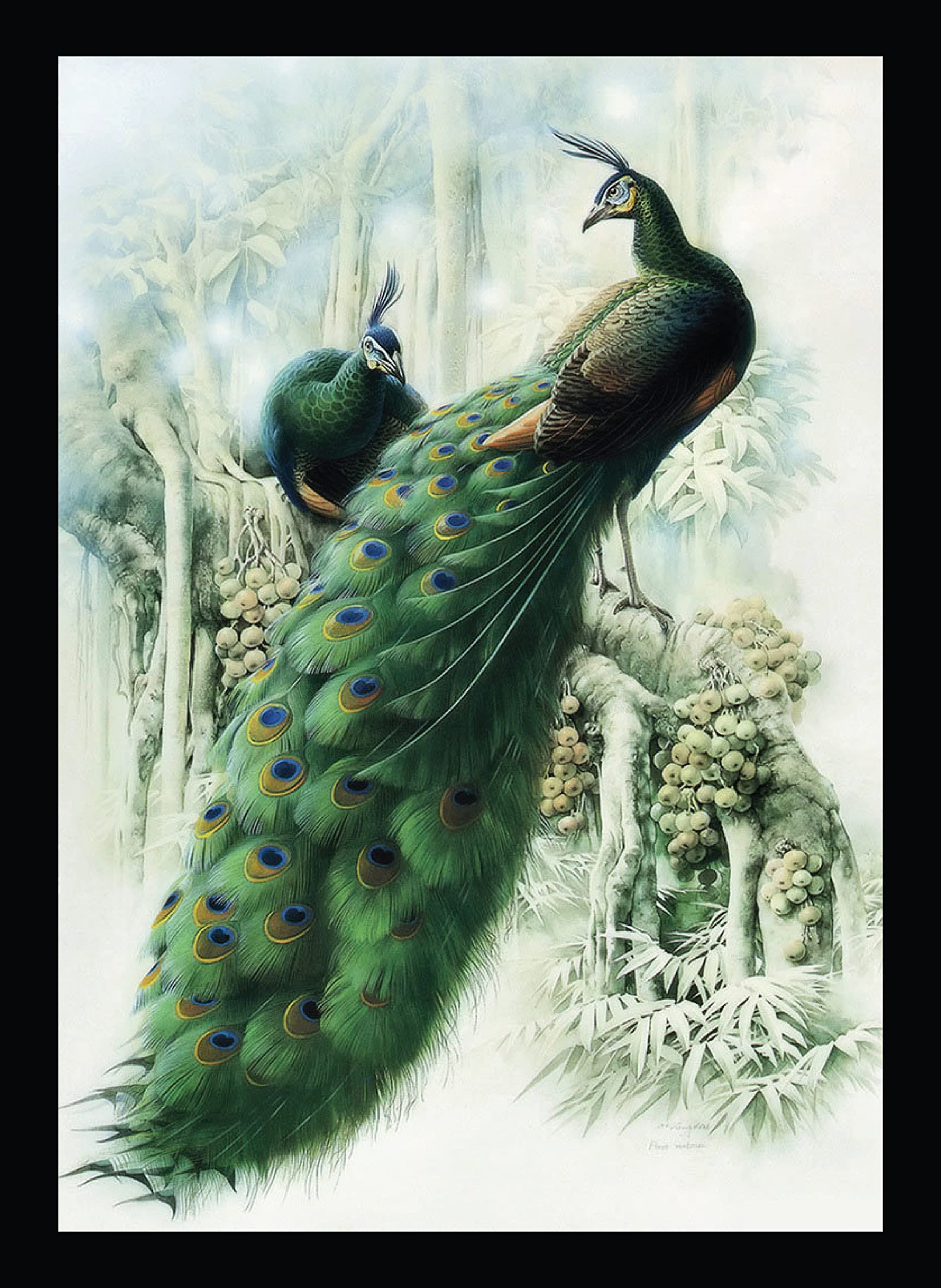 BIRD'S MIND Synthetic Wood Wall Hanging Peacock Birds Photo Frame Poster For Living Room Home Decorative Bedroom Gift Wall Art Frames L x H 9.5 Inches x 13 Inches