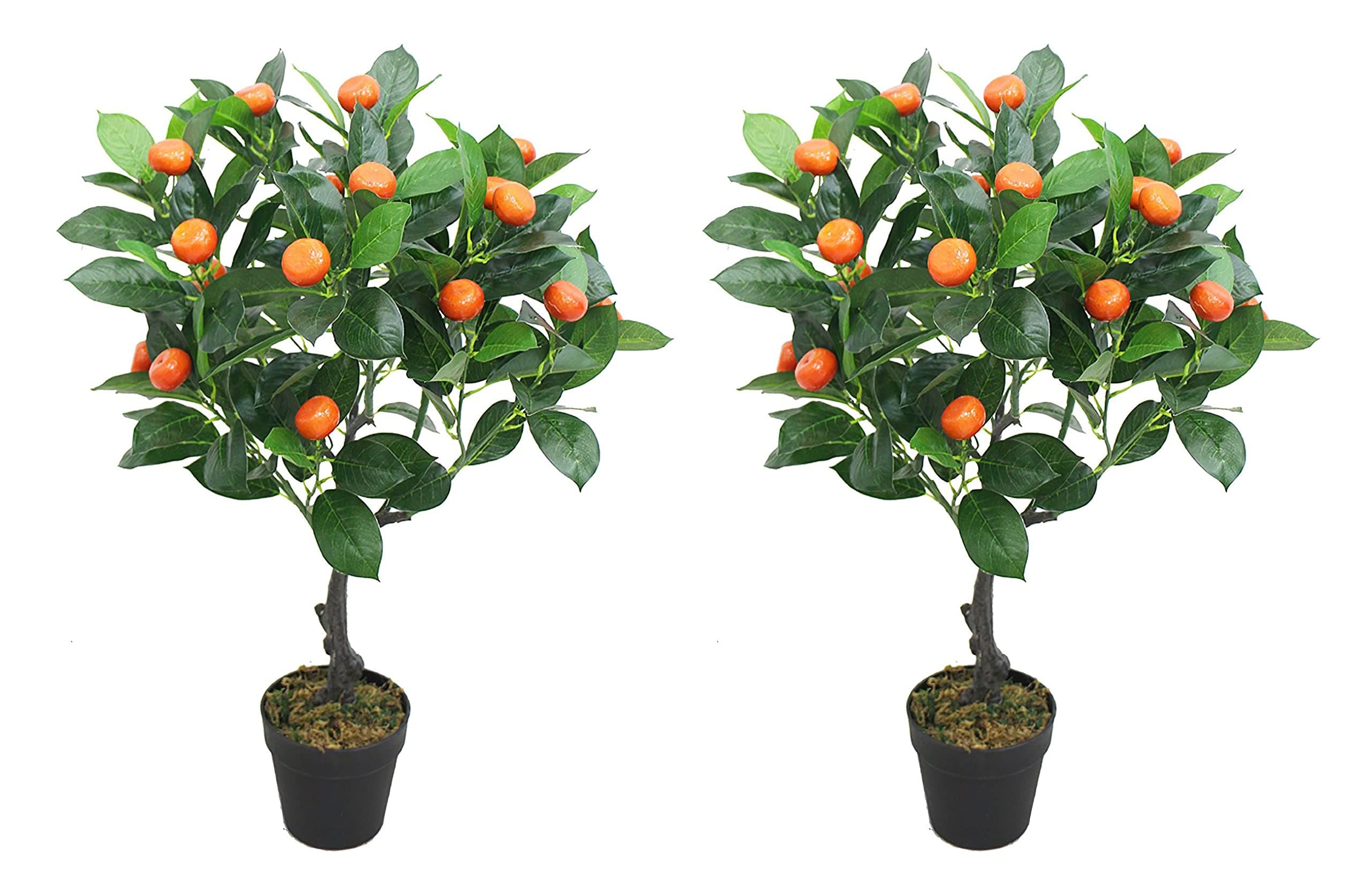 Pair Amerique 38 Inch Artificial Orange Trees with Nursery Pots