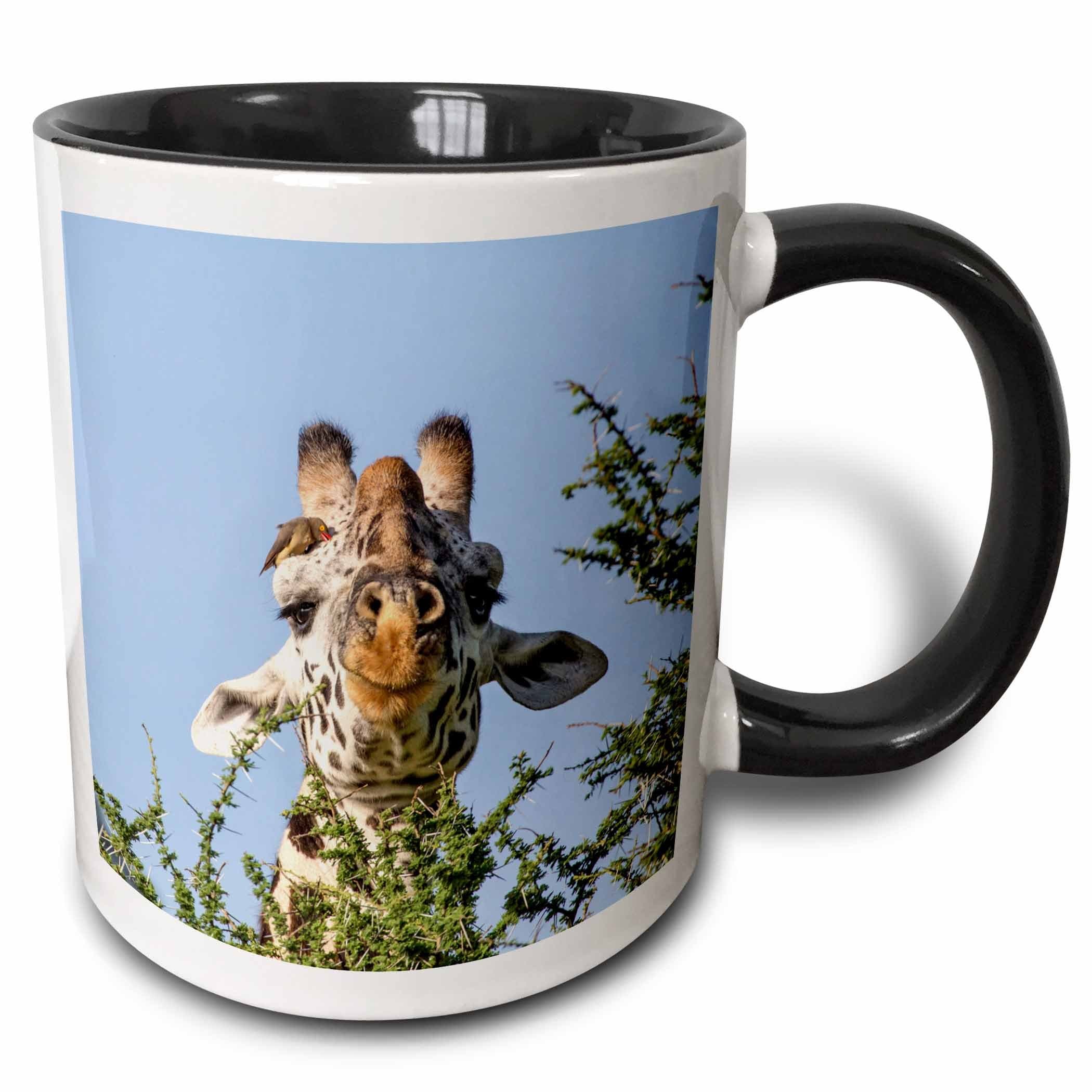 3dRose Danita Delimont - Charles Sleicher - Birds - Africa, Tanzania, Serengeti. Maasai giraffe with Red-billed Oxpecker. - Mugs 11 oz White mug_187486_4