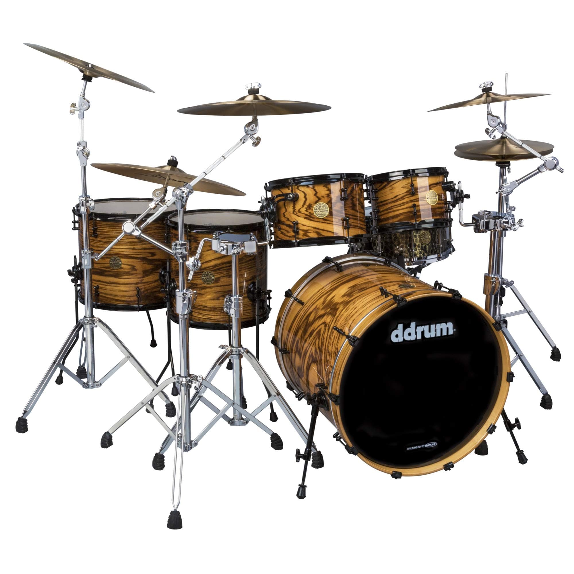 ddrum Dios Exotic Zebra Wood- Natural 5-Piece Shell Pack Drum Set
