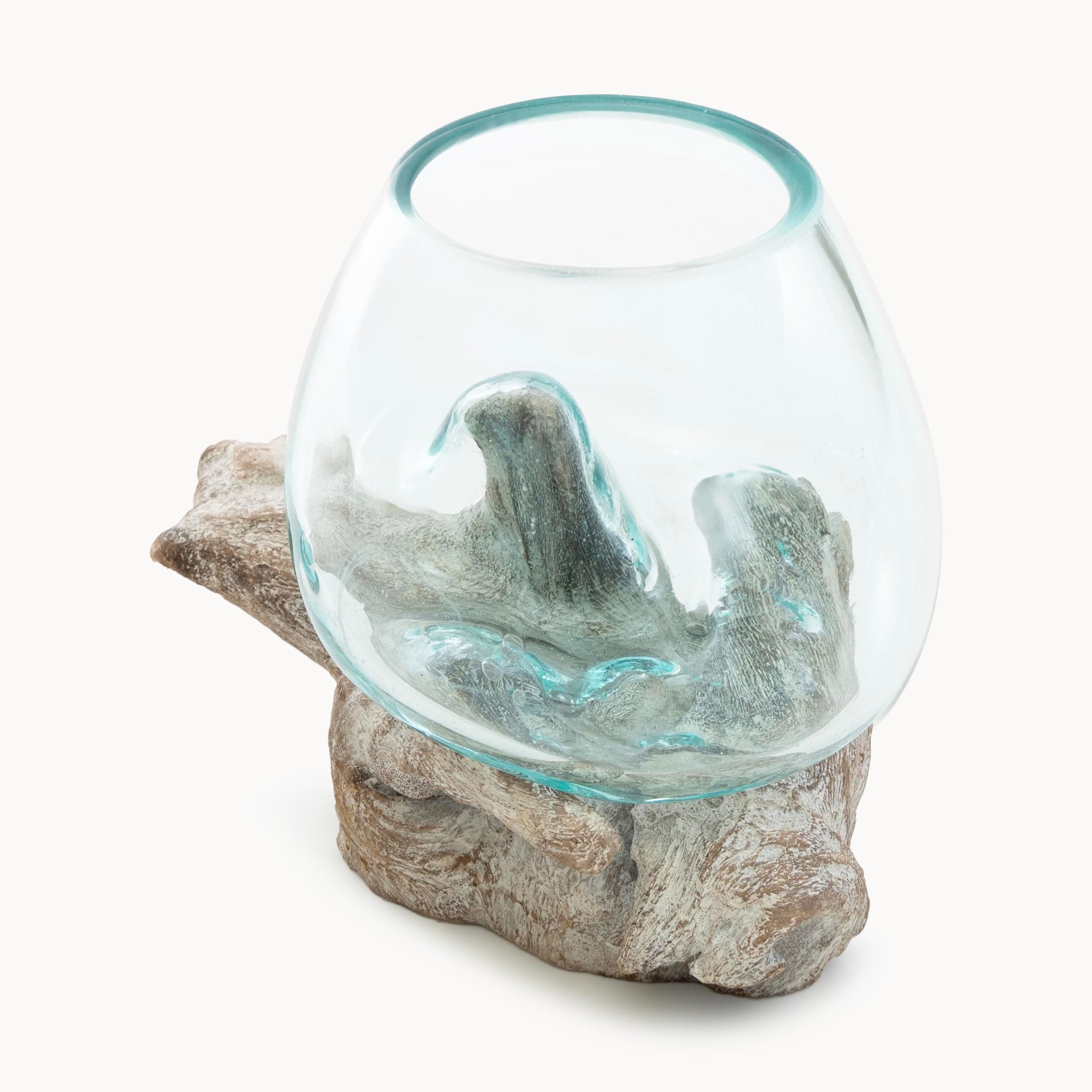Glass Aquarium on White Driftwood - Elegant Handcrafted Tabletop Decor with Unique Melted Glass Design Perfect for Home & Office (Small)