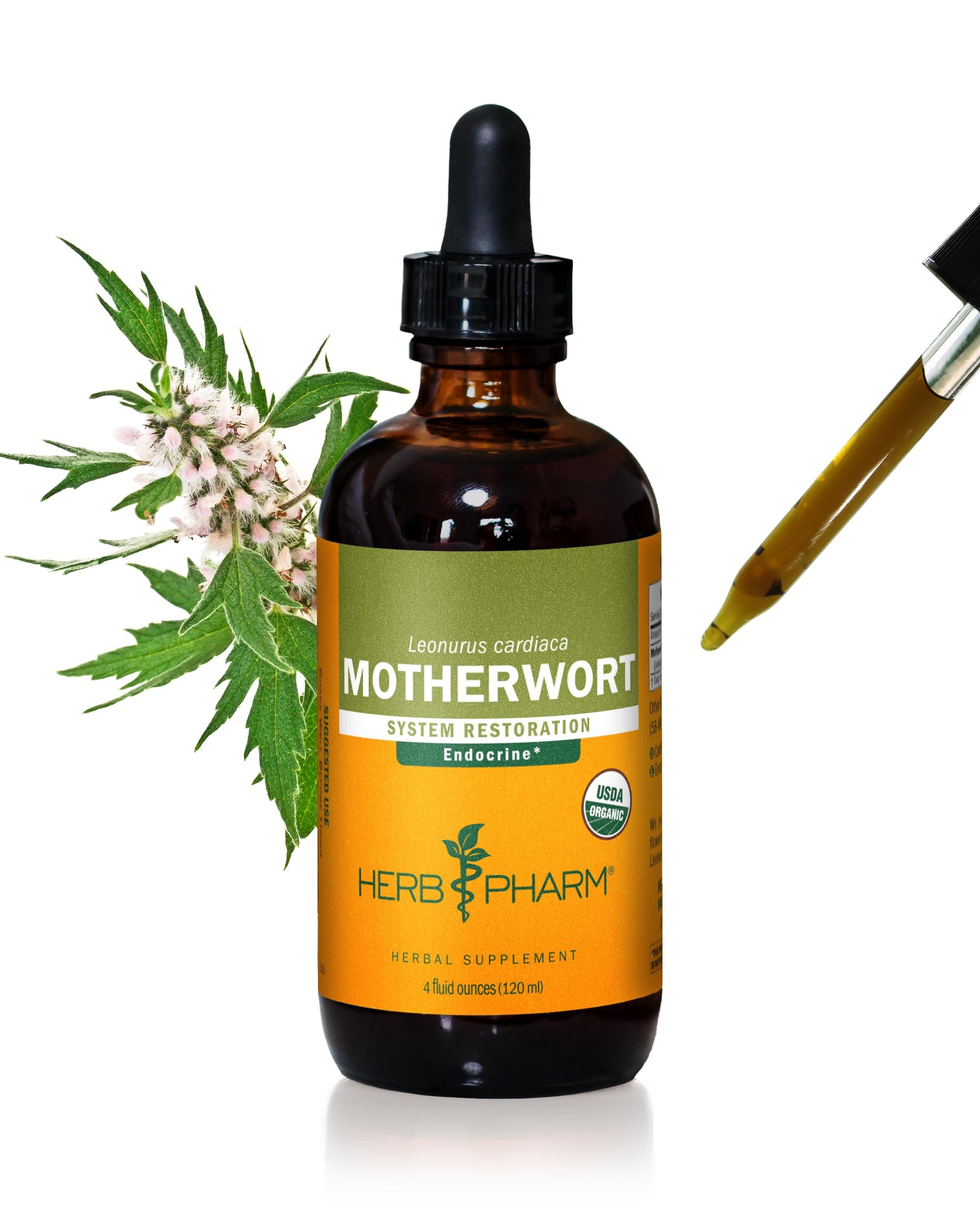 Herb Pharm Certified Organic Motherwort Liquid Extract for Endocrine System Support, 4 Fl Oz