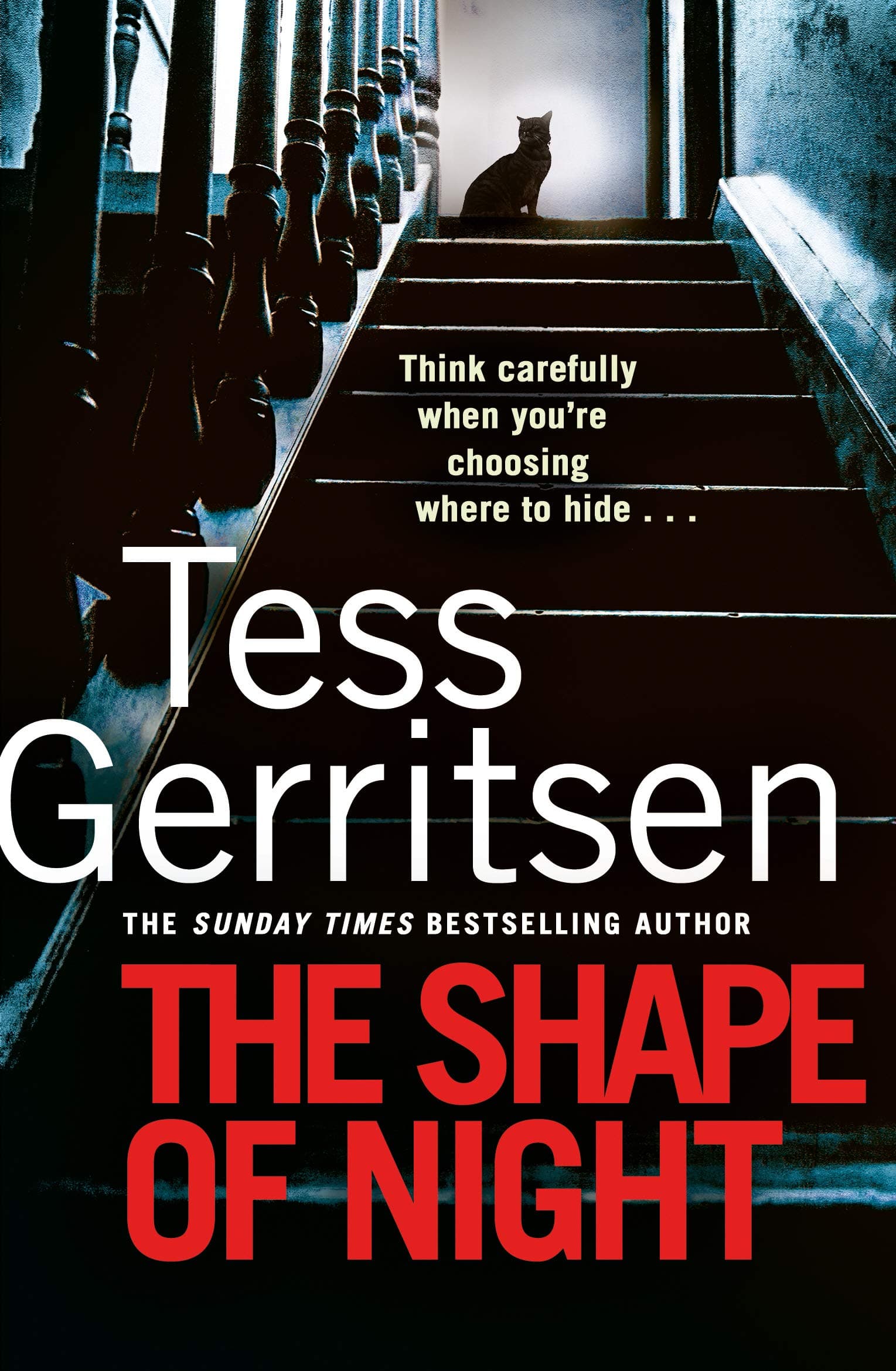 The Shape of Night: The spine-tingling thriller from the Sunday Times bestselling author of the Rizzoli & Isles series