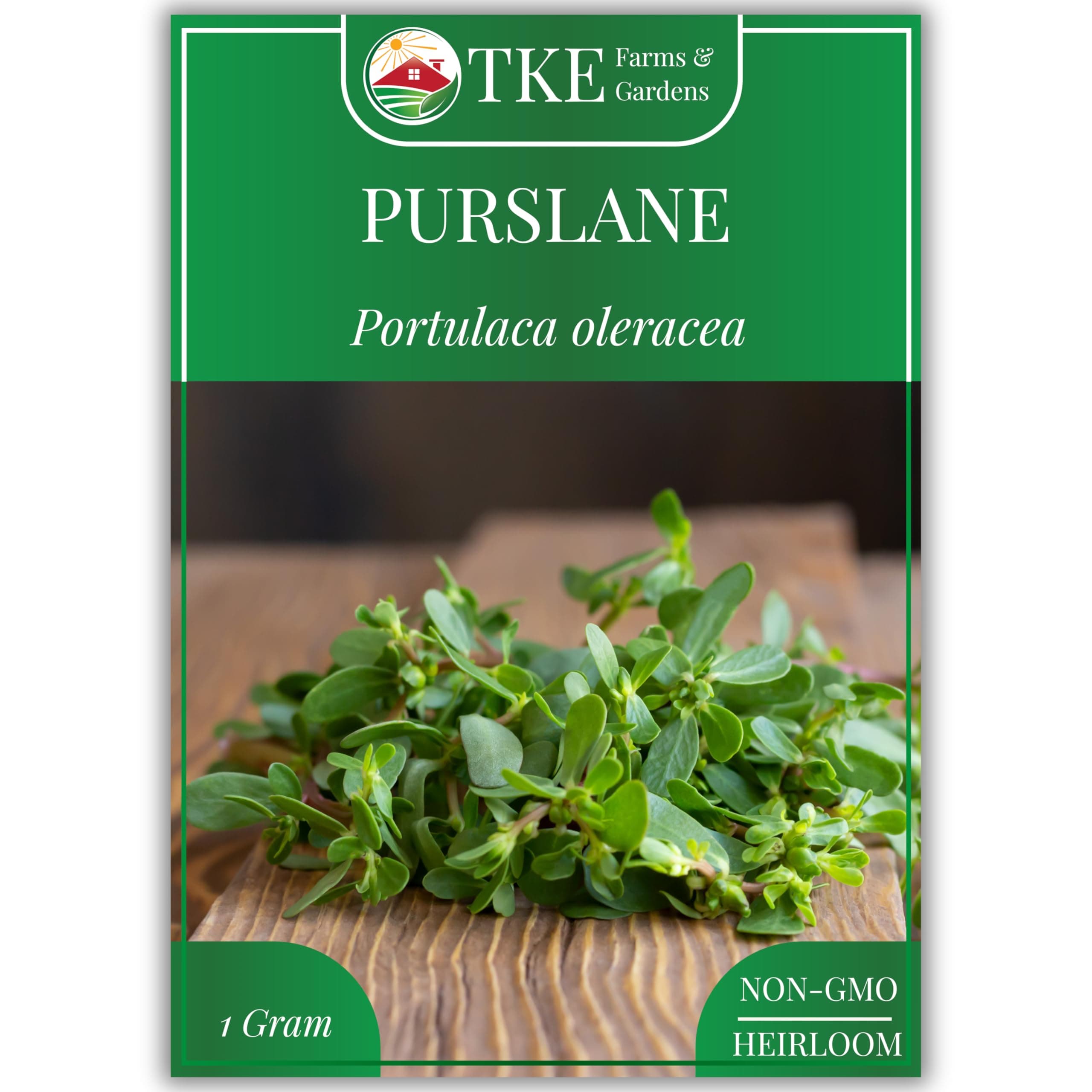 Green Purslane Seeds for Planting,1 Gram Approximately 2000 Heirloom Seeds, Portulaca oleracea