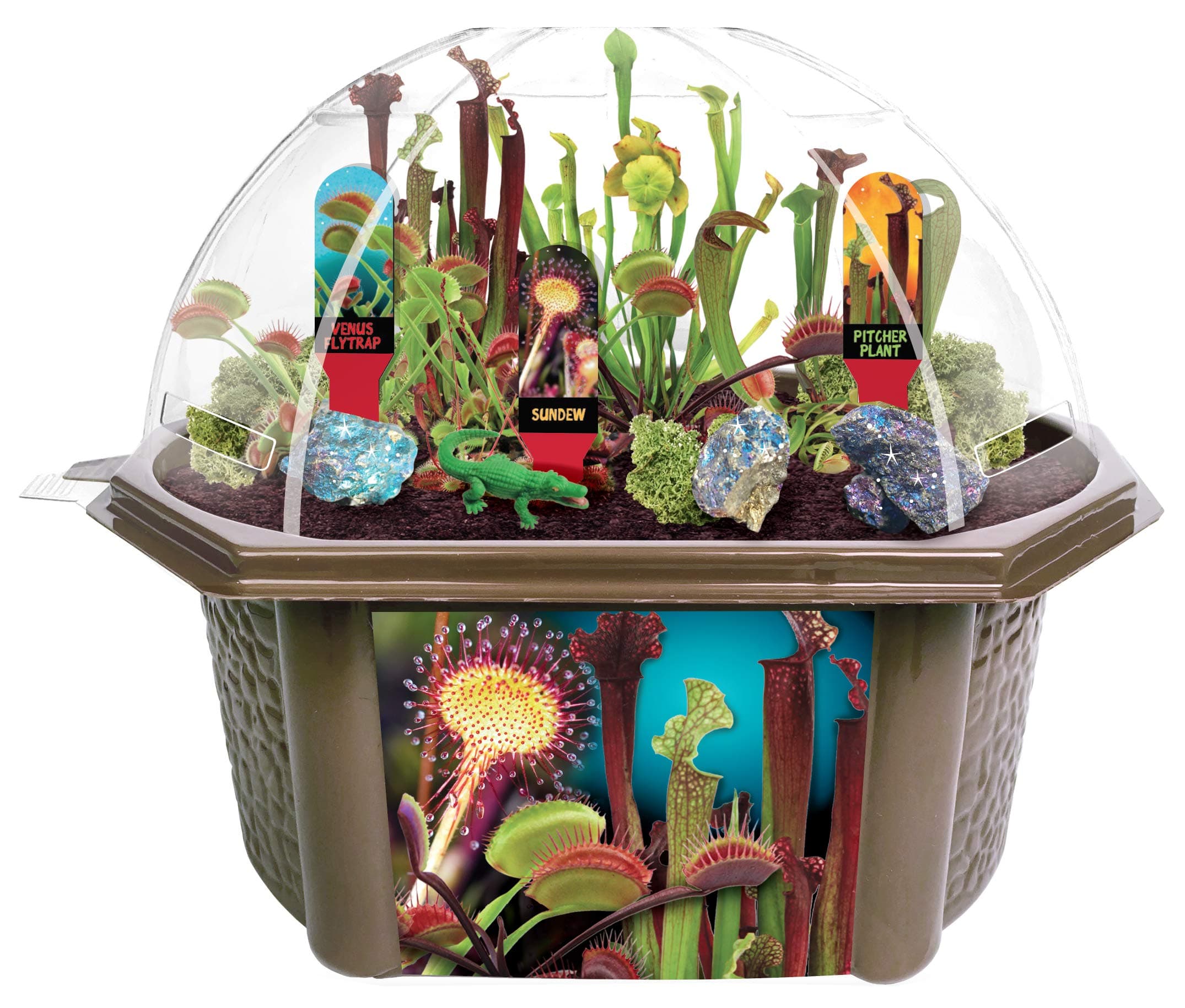 TOYS BY NATURE Venus Fly Trap - Complete Kids Terrarium Greenhouse Kit - Carnivorous Plant Grow Kit - Grow Your Own Seeds for 6 Plants That EAT Bugs