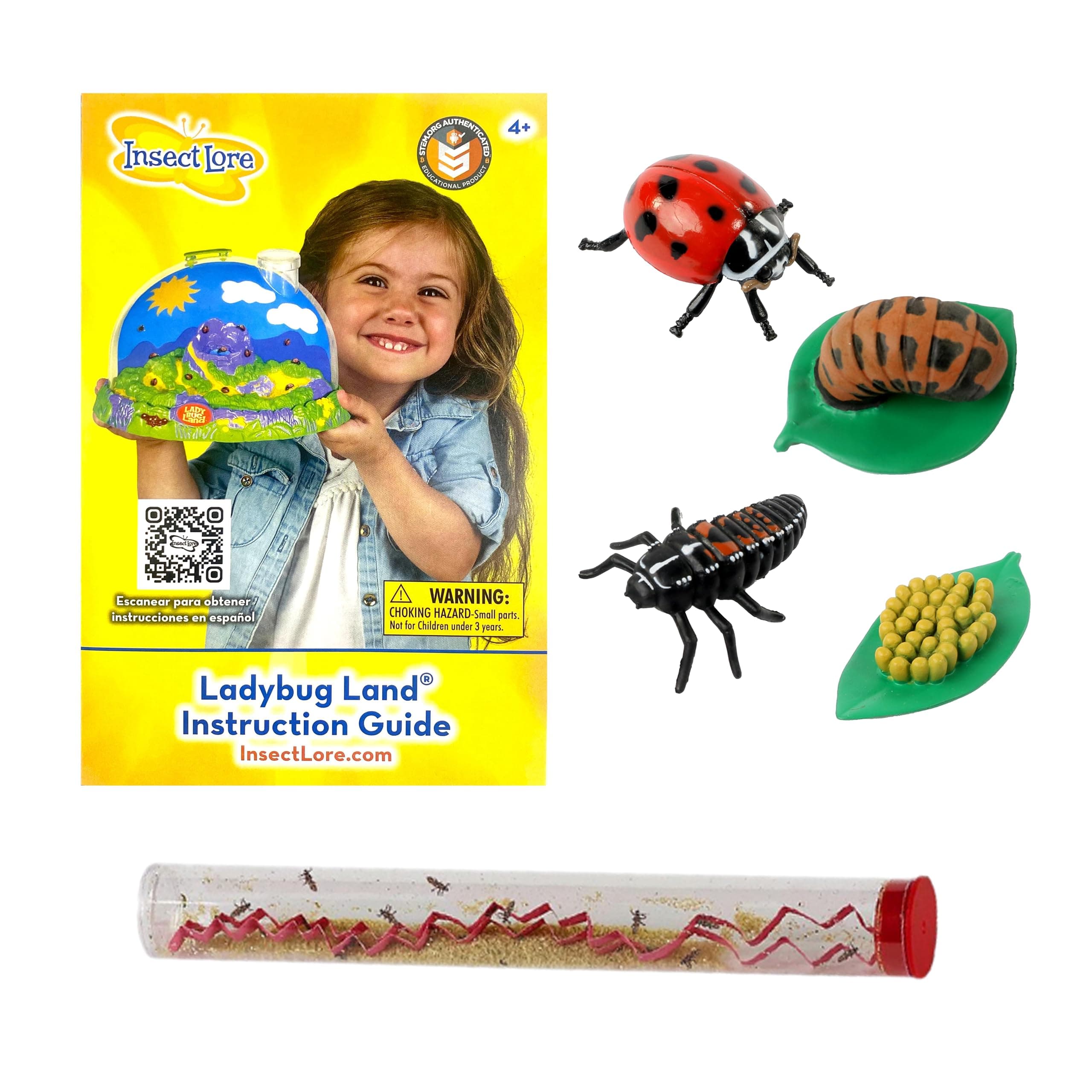 Ladybug Larvae Live Refill with Ladybug Life Cycle Internships