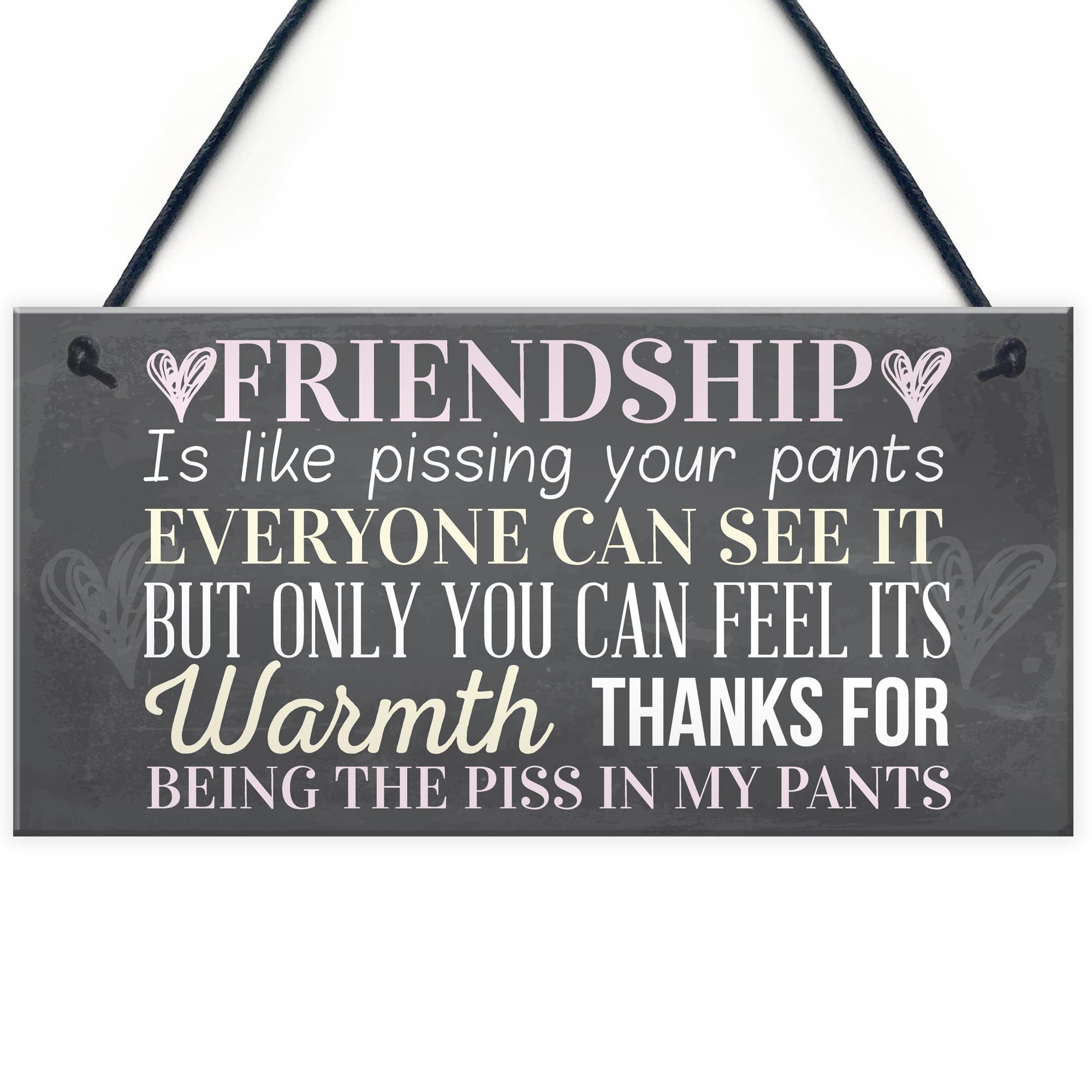 Red Ocean Best Friend Sign Friendship Gift Funny Thank You Novelty Birthday Shabby Chic Hanging Plaque
