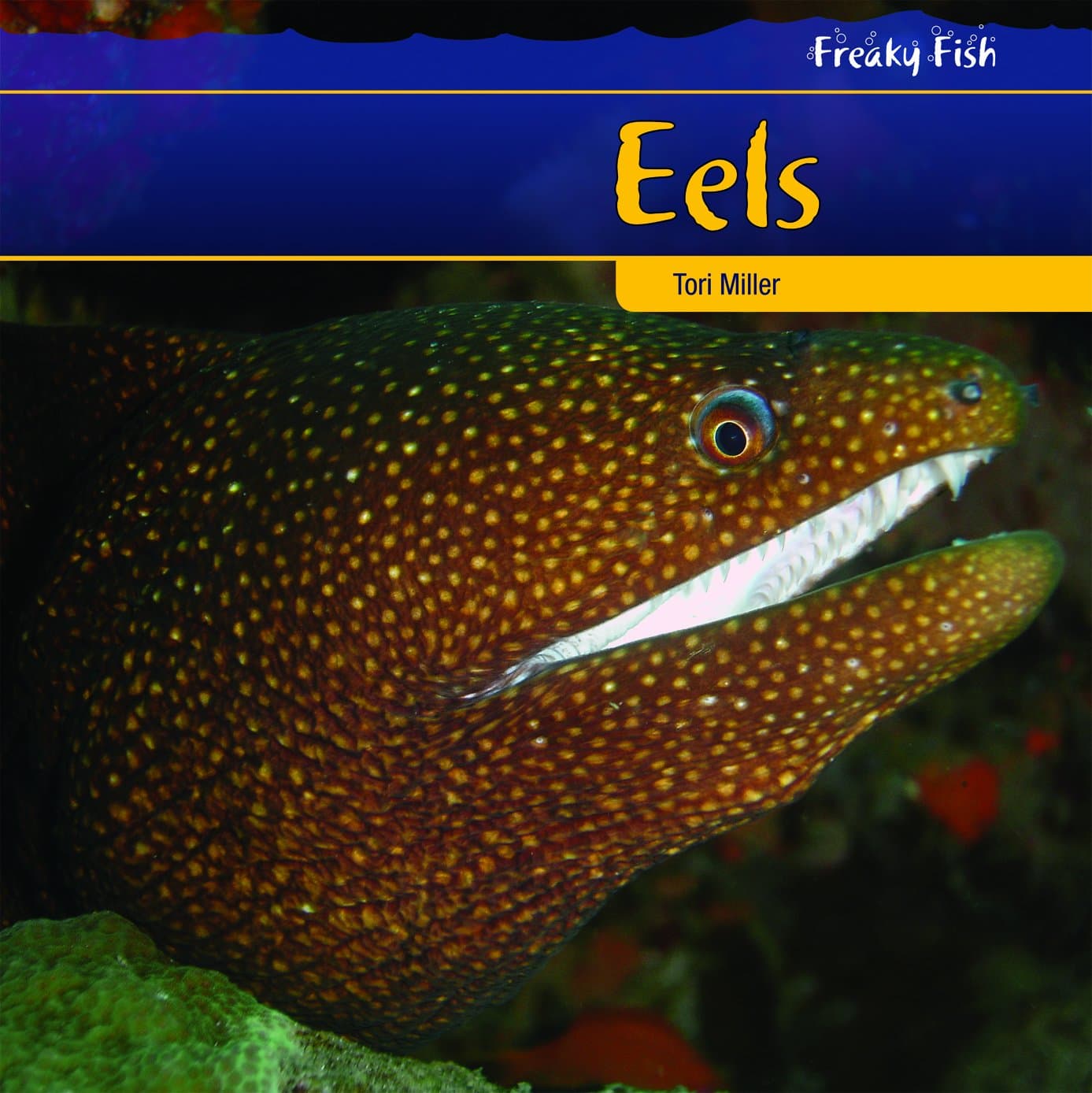 Eels (Freaky Fish)