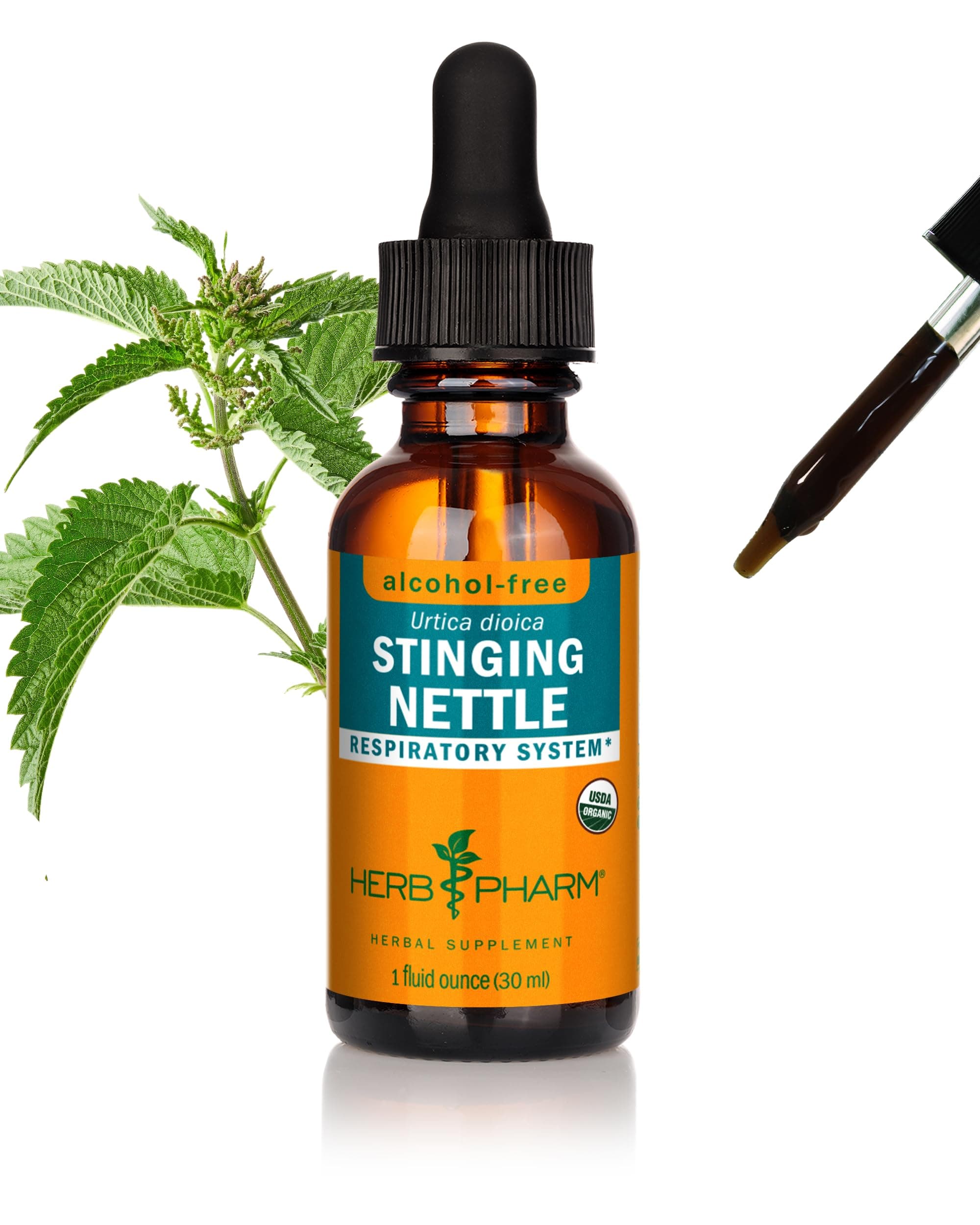 Alcohol-Free Stinging Nettle Glycerite - 1 Ounce