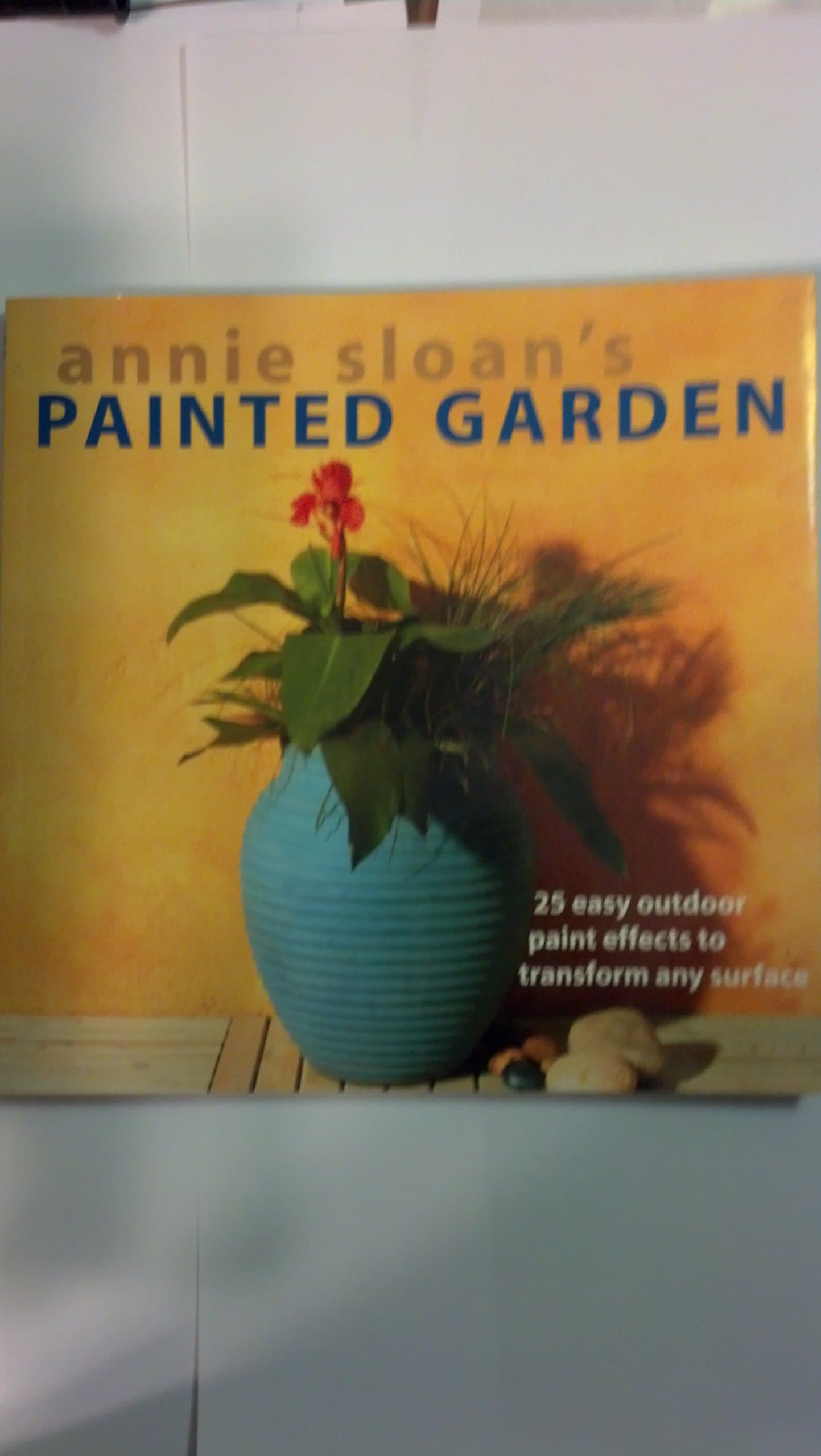 Annie Sloan's Painted Garden: 25 Easy Outdoor Paint Effects to Transform Any Surface Paperback – 1 April 2003