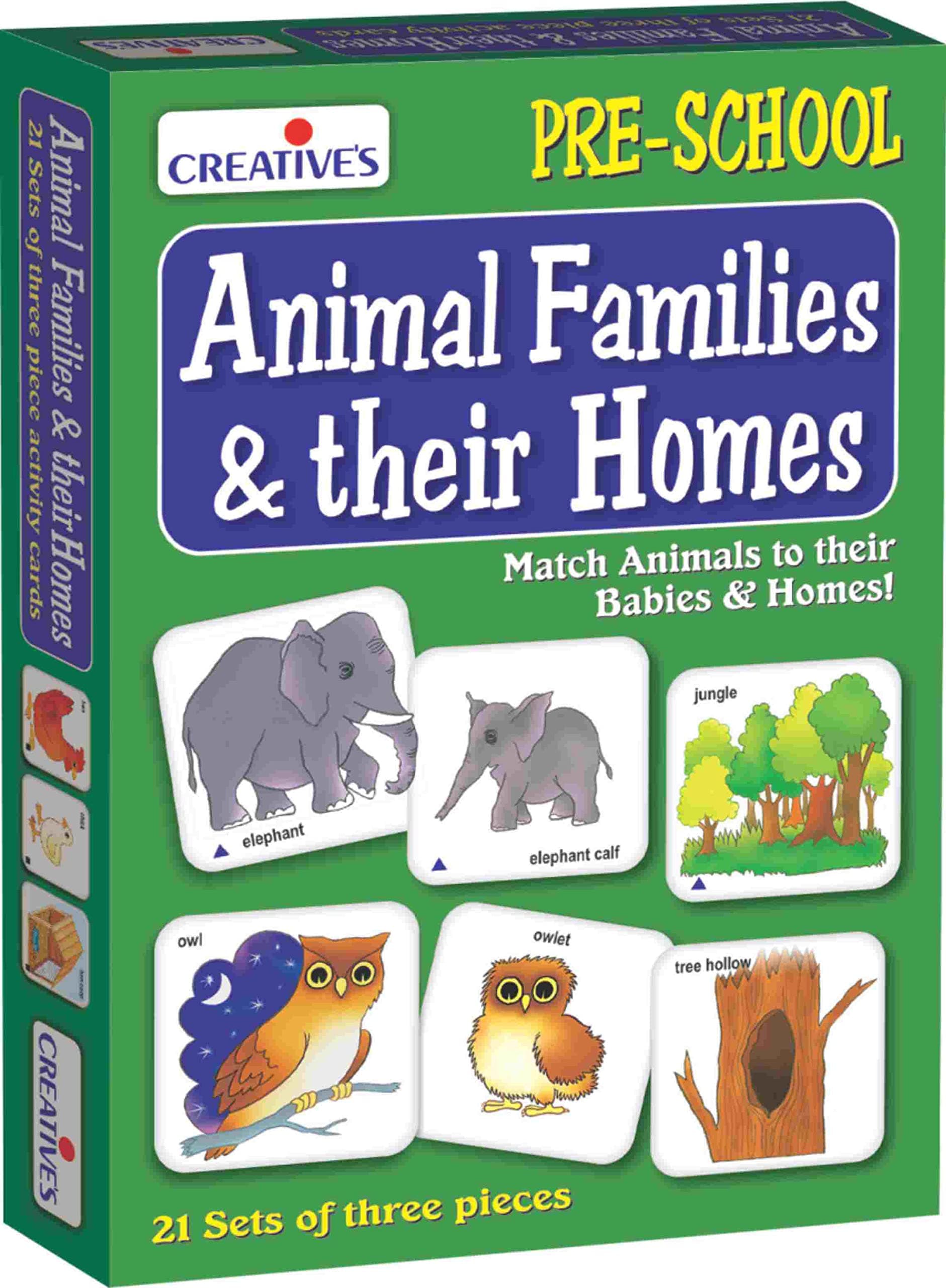 Creative's Animal Families & Their Home - 4 Years & Above