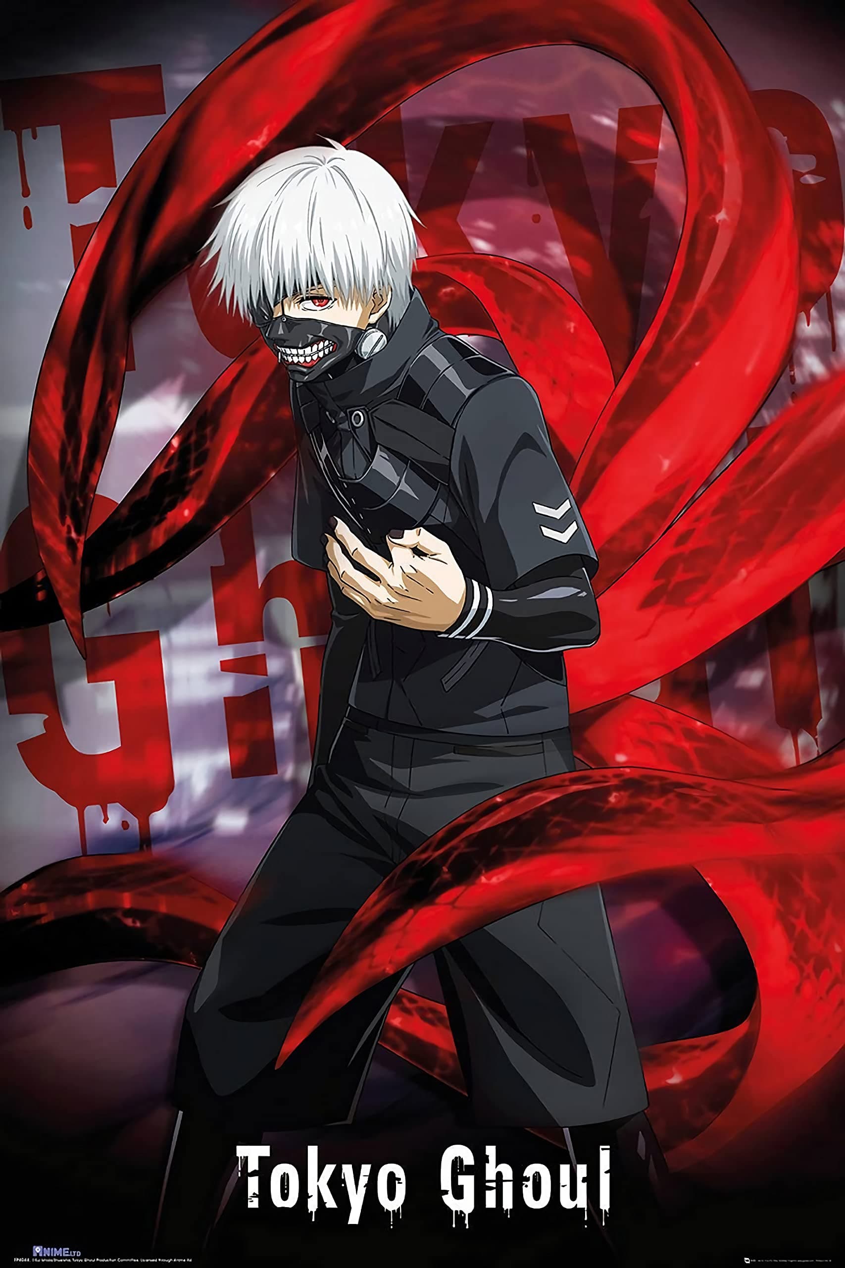 Tainsi ASHER Gift Ken Kaneki, Tokyo Ghoul Poster - Matte poster Frameless Gift 11 x 17 inch(28cm x 43cm)-LS-147