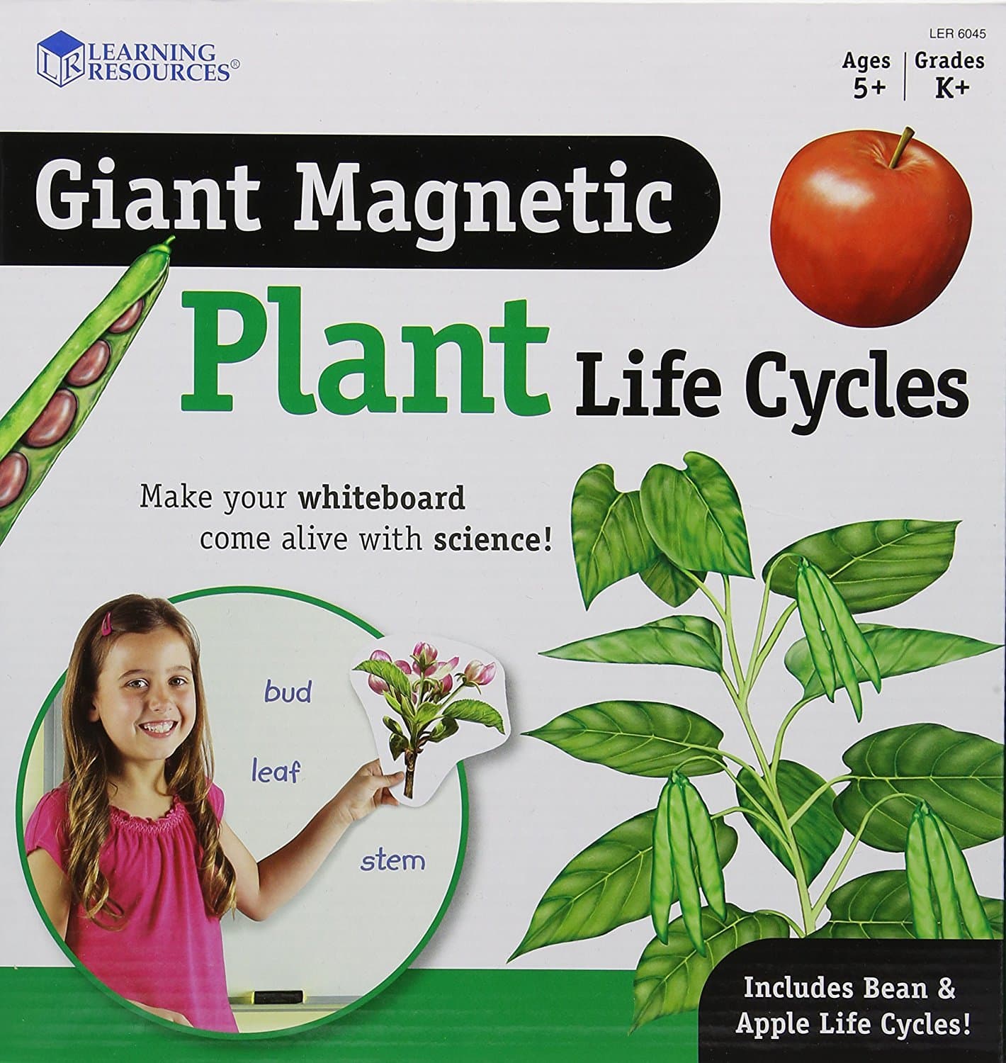 Learning Resources Giant Magnetic Plant Life Cycle - STEM Growing Seed, Montessori Tree , Biology Cards, Classroom Teacher Must Haves Activities, Science Homeschool Essentials, Gifts for Students