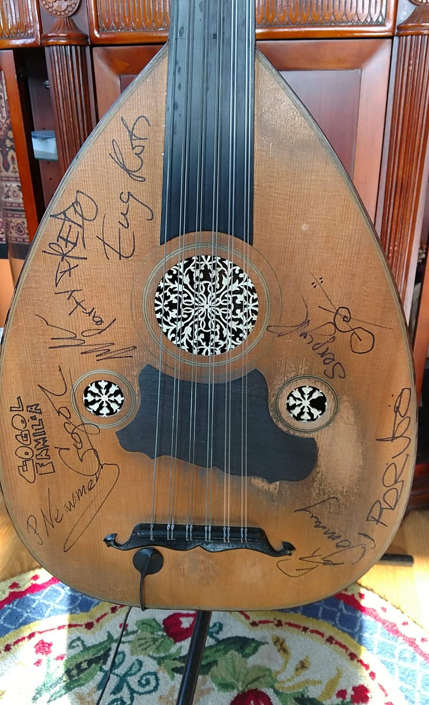 Northern Lutherie Lute Pickup