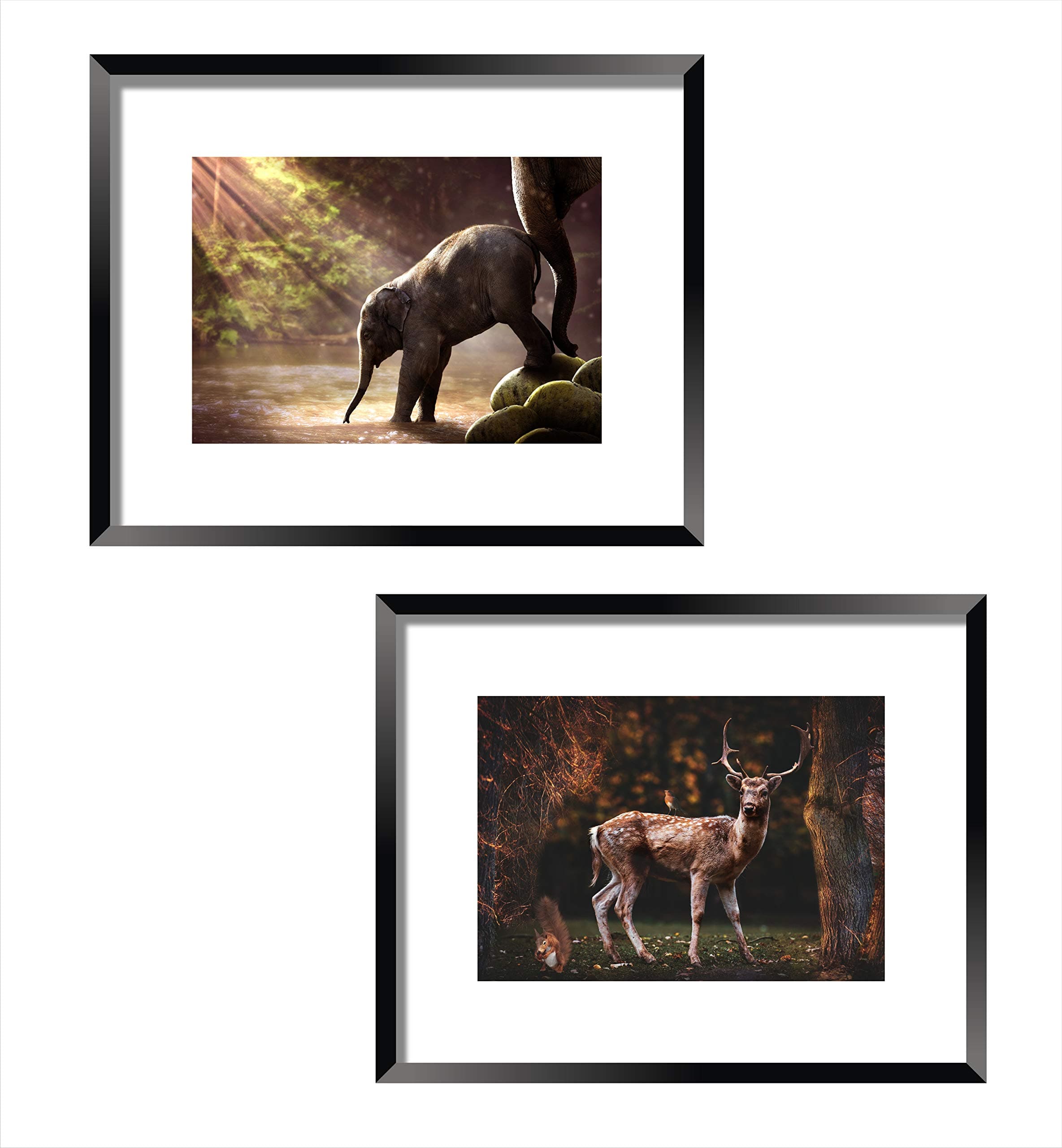 DBrush Set of 4 Animal With baby Modern art Jungle Photos Wall Painting Stylish Photo Frame with Glass Decorative Gift Item (12 x 15 Inch) Synthetic Wood Black Framed