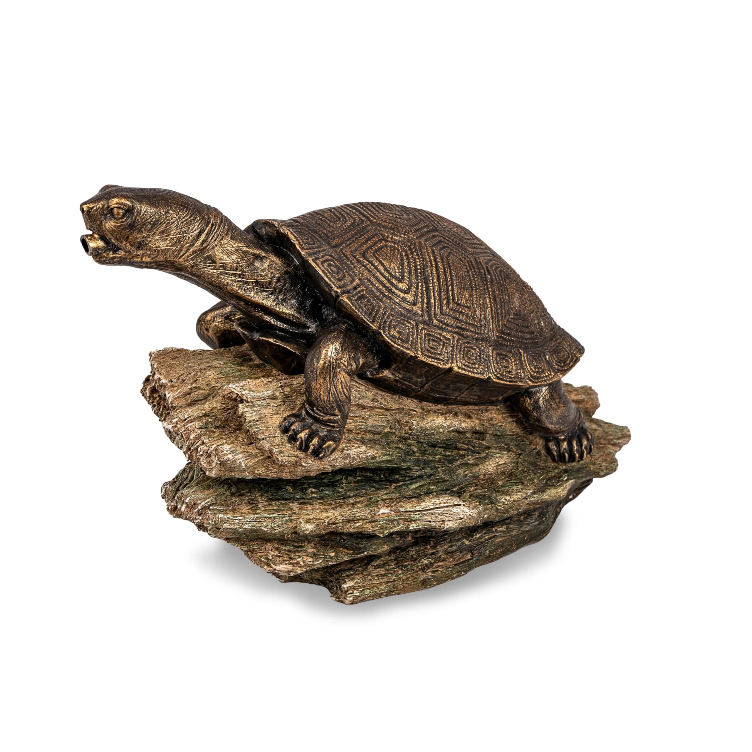Turtle on Log Spitter