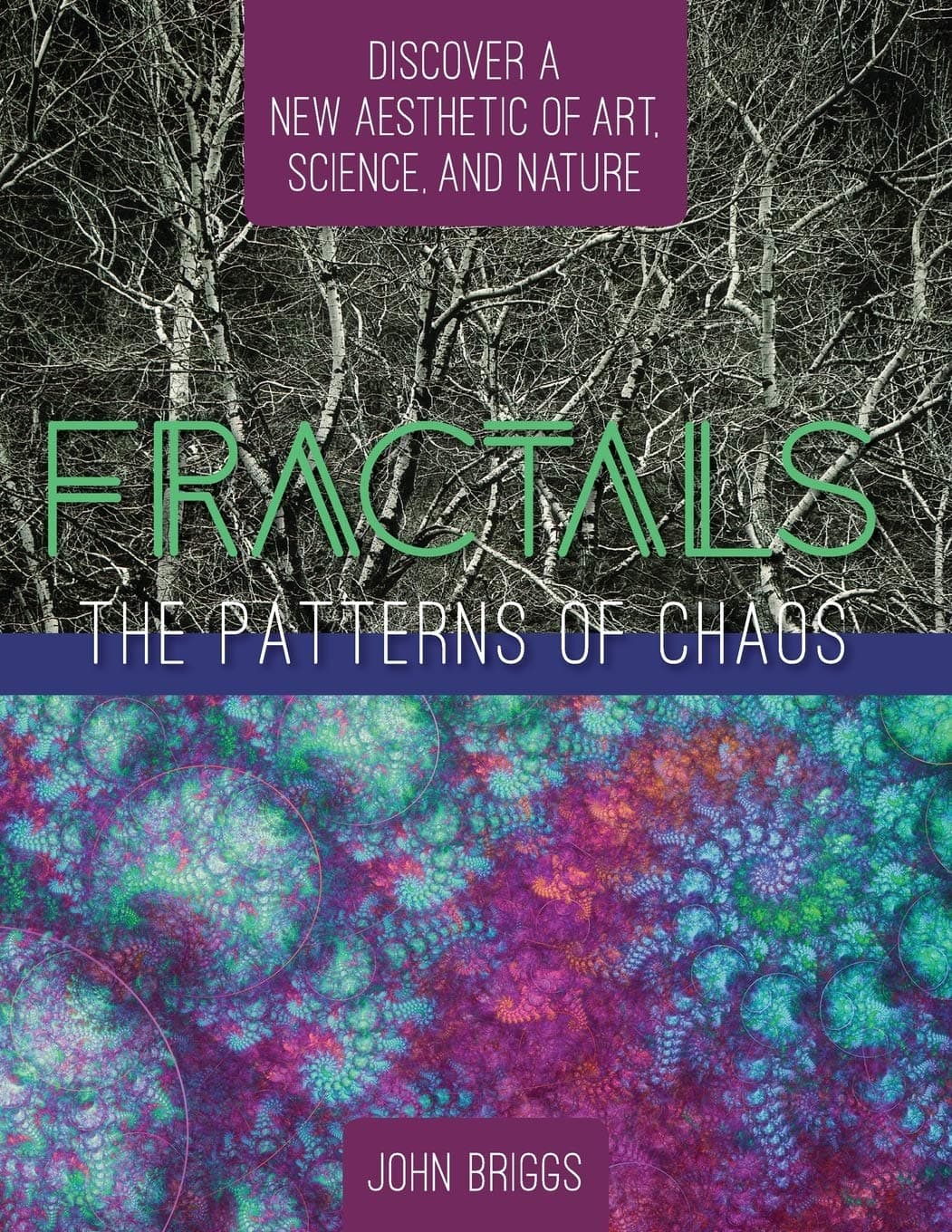 Fractals: The Patterns of Chaos: Discovering a New Aesthetic of Art