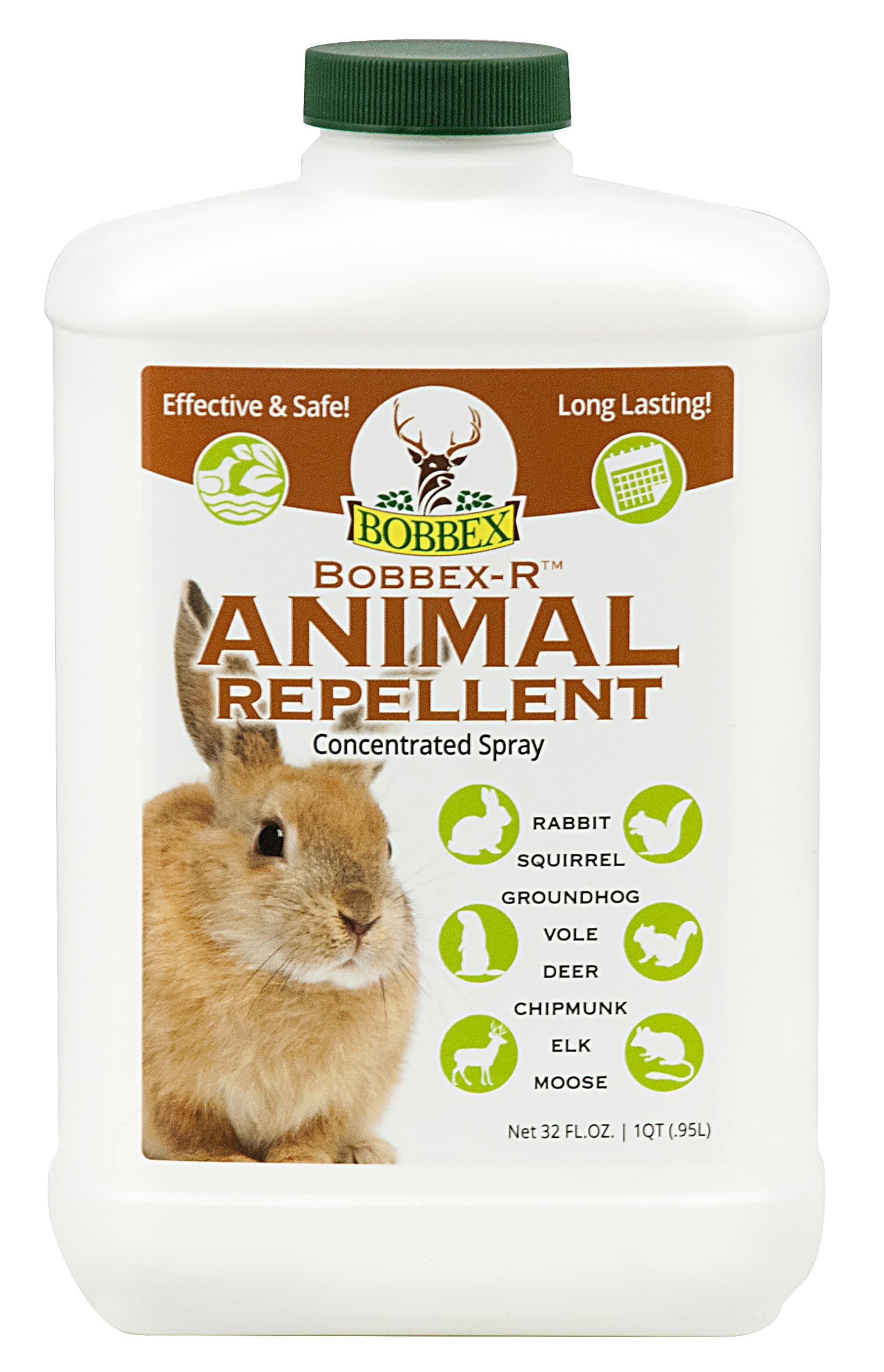 Concentrated Animal Repellent Rabbit, Squirrel, and Chipmunk Repeller Concentrate (32 oz.) B550120