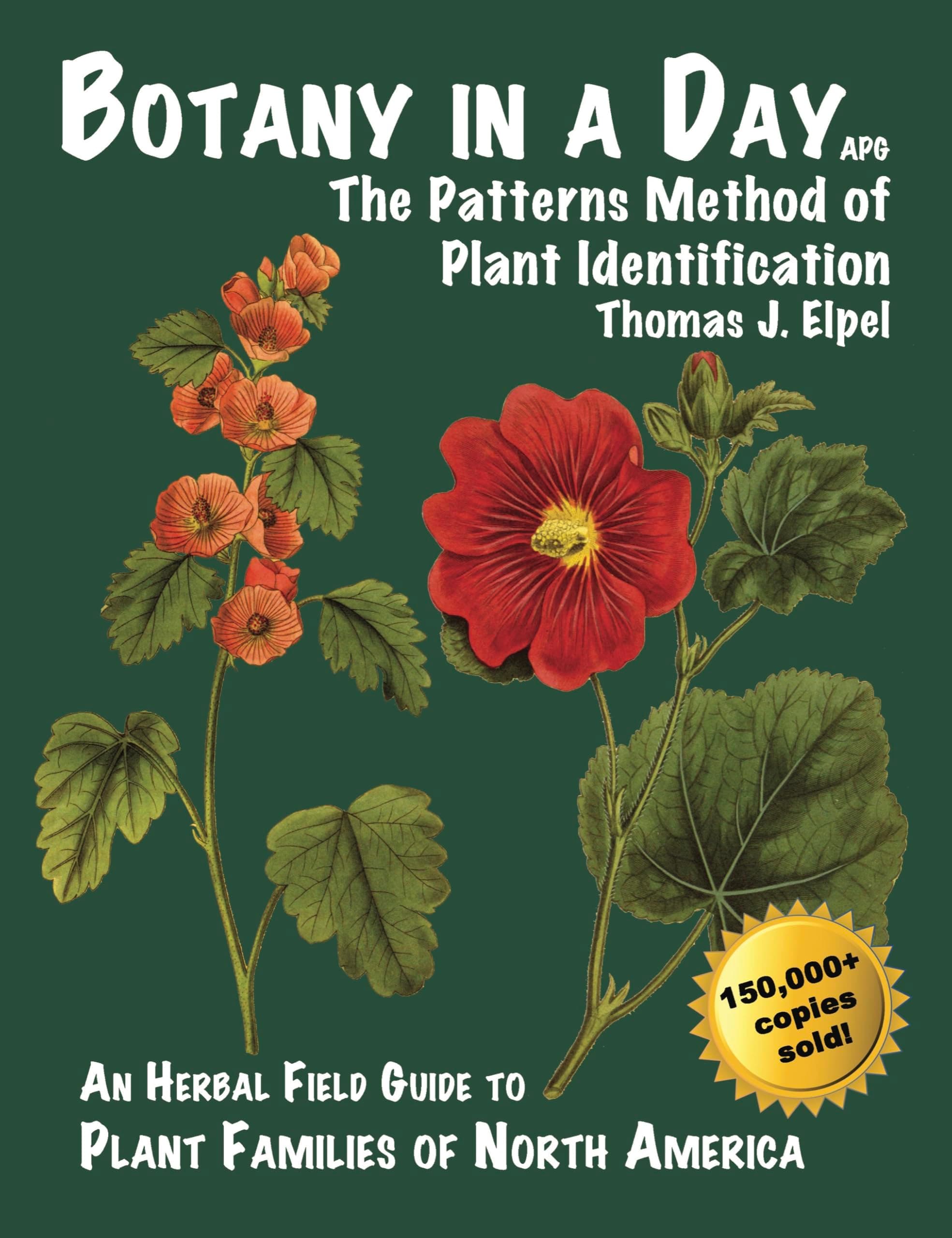 Botany in a Day: The Patterns Method of Plant Identification: An Herbal Field Guide to Plant Families of North America