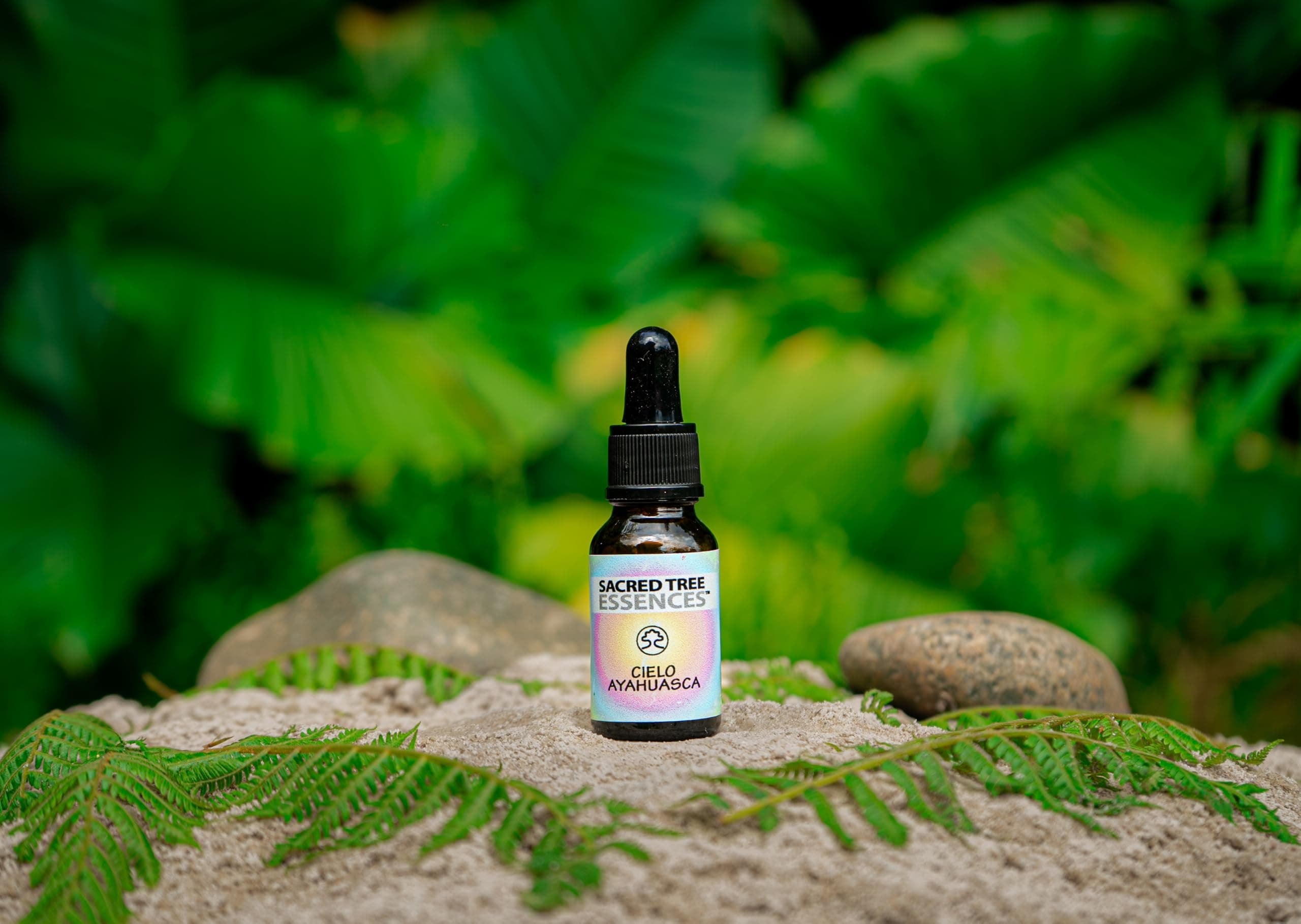 Cielo Ayahuasca Master Plant shamanic Amazonian Essence