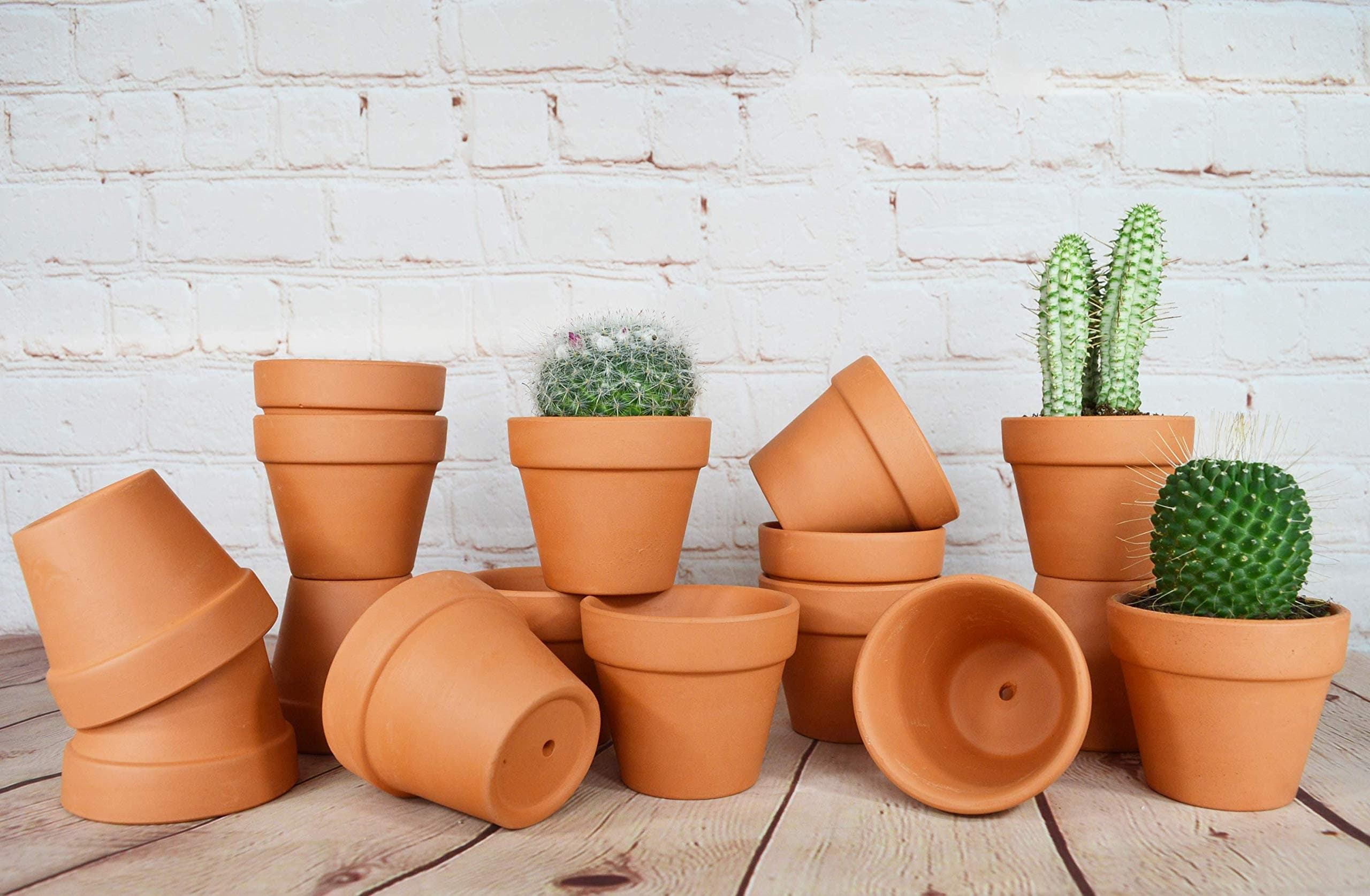 My Urban Crafts 16 Pcs Small Terracotta Pots 2.5 x 3 inch Mini Flower Clay Pots with Drainage Hole Ceramic Pottery Terra Cotta Planter for Succulents and Cactus, Wedding Favors and Baby Shower Favors