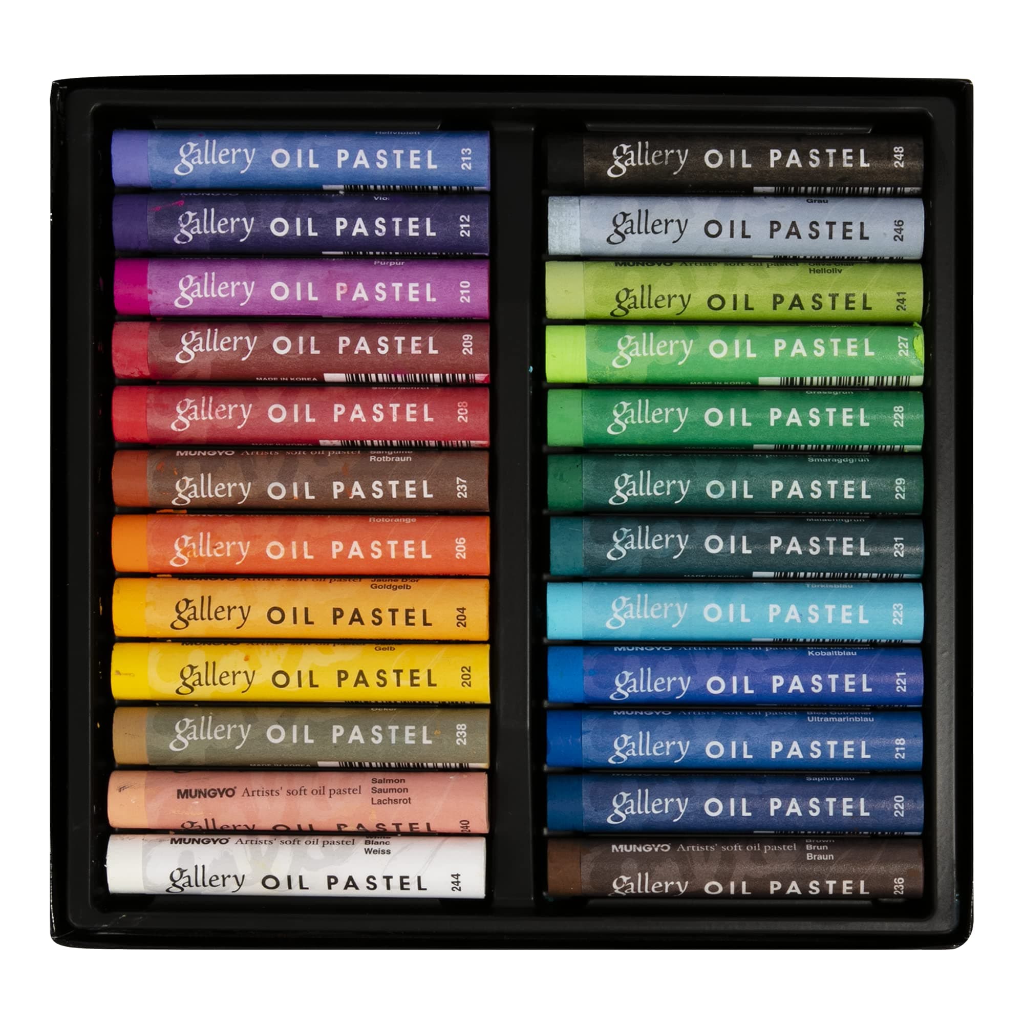 MUNGYO Gallery Artists' Soft Oil Pastels, 24 Assorted Colors - Professional Grade Oil Pastels for Artists