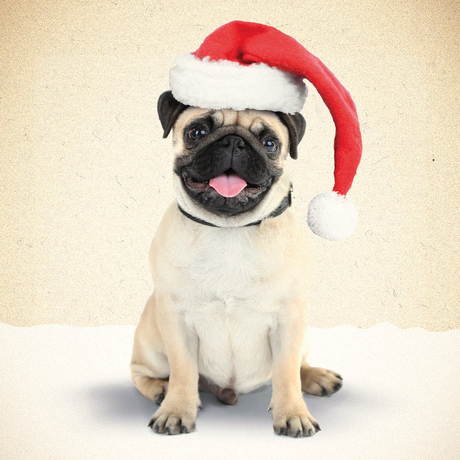 Pug in Santa Hat Christmas Card