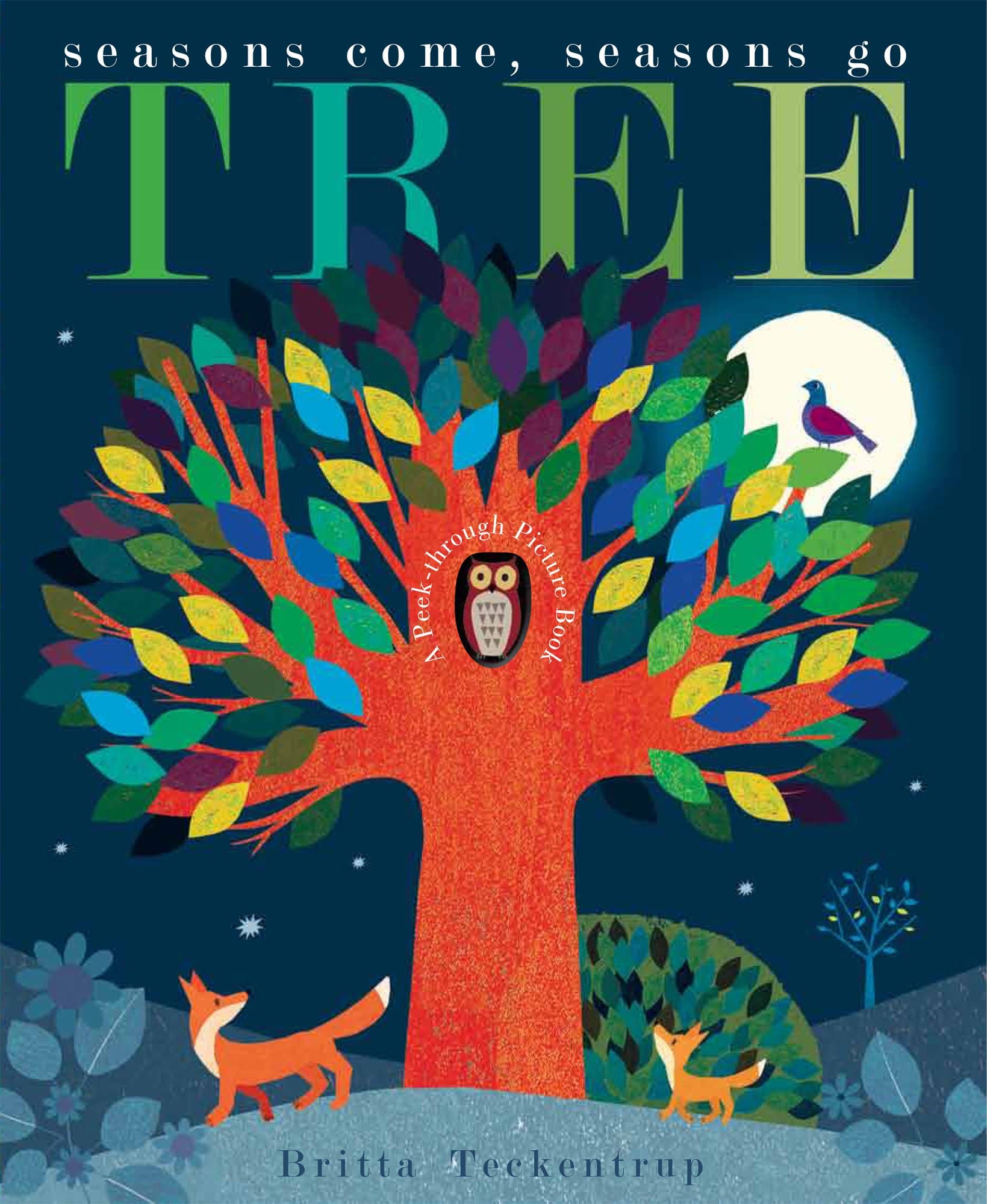 Little Tiger Kids Tree: Seasons Come, Seasons Go