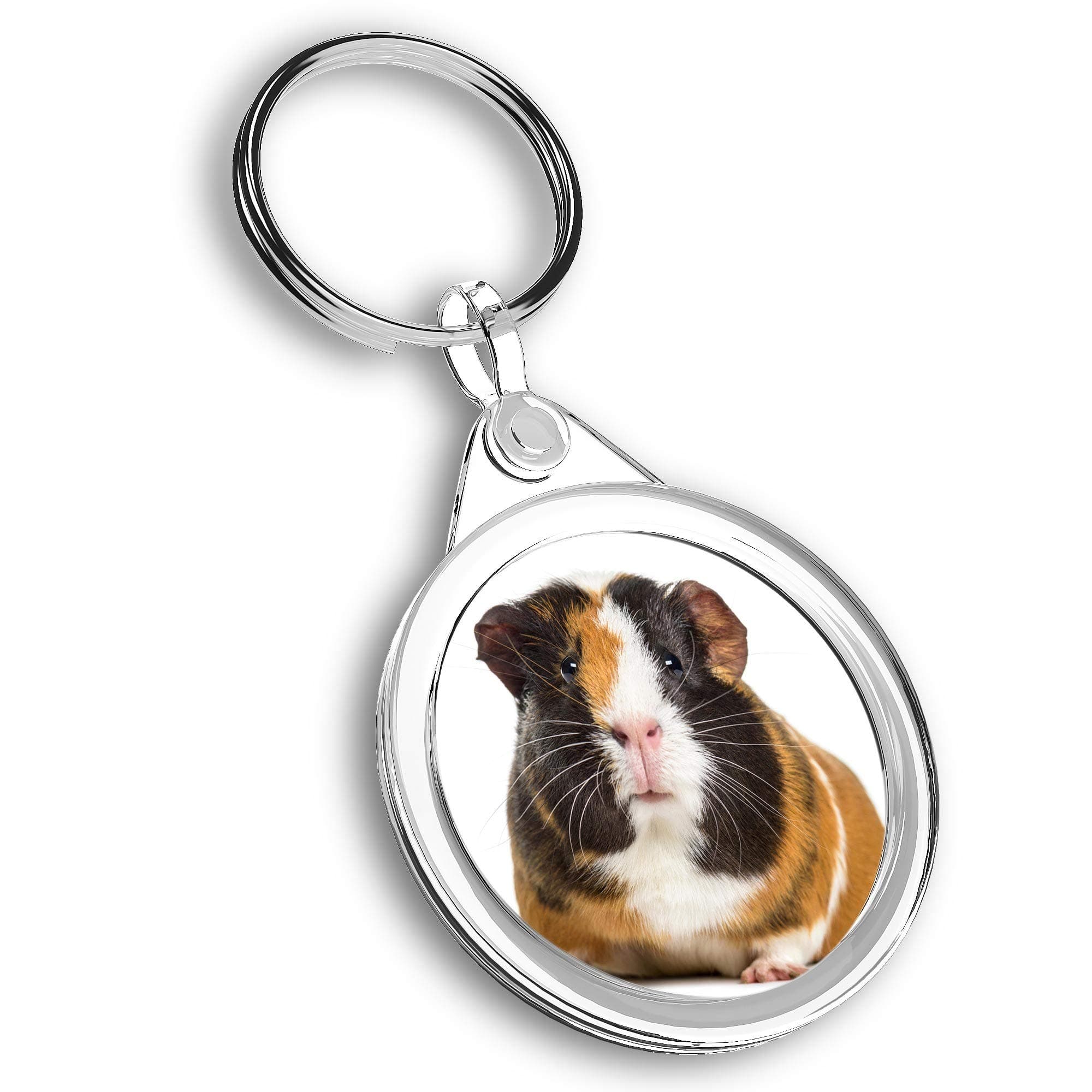 1 x Photo Keyring - Brown & White Guinea Pig |Keychain|Keyring|Charm| #44461
