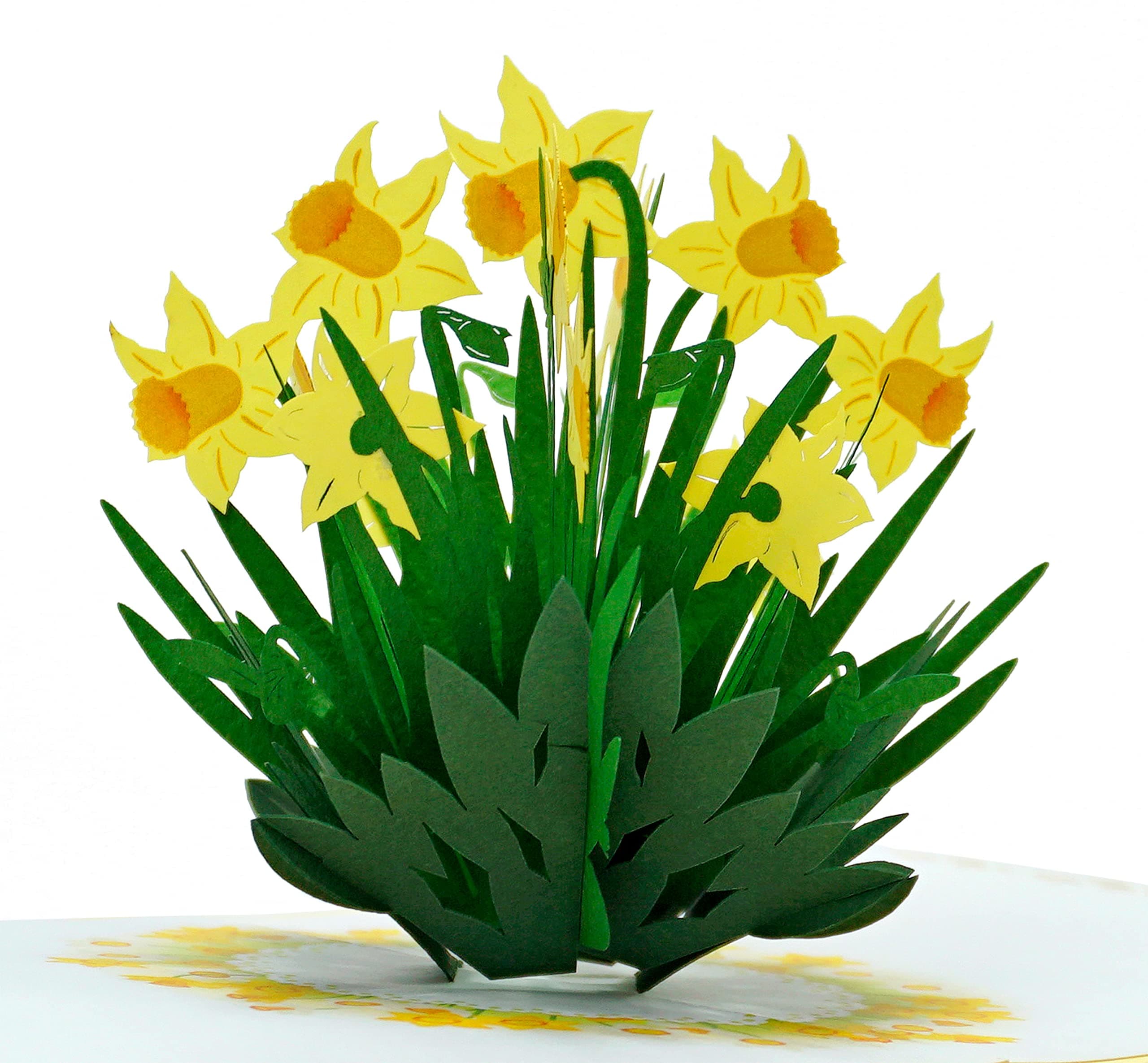CUTPOPUP Daffodil 3D Cards - Birthday Cards for Women, Mothers Day Cards Pop Up, Flowers 3D Greeting Card, Anniversary Cards, Valentines Card UK