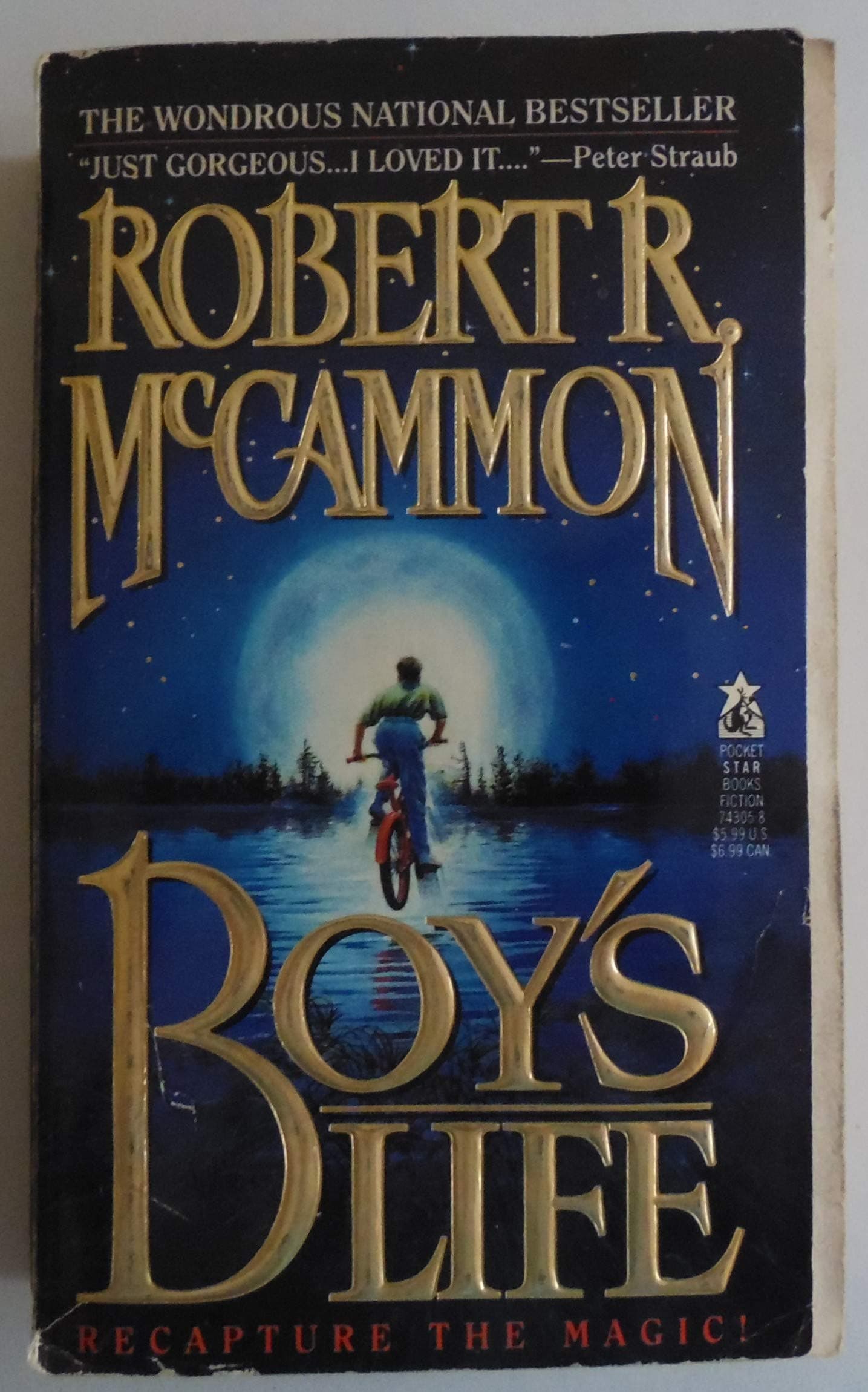 Boy's Life Mass Market Paperback – May 1, 1992