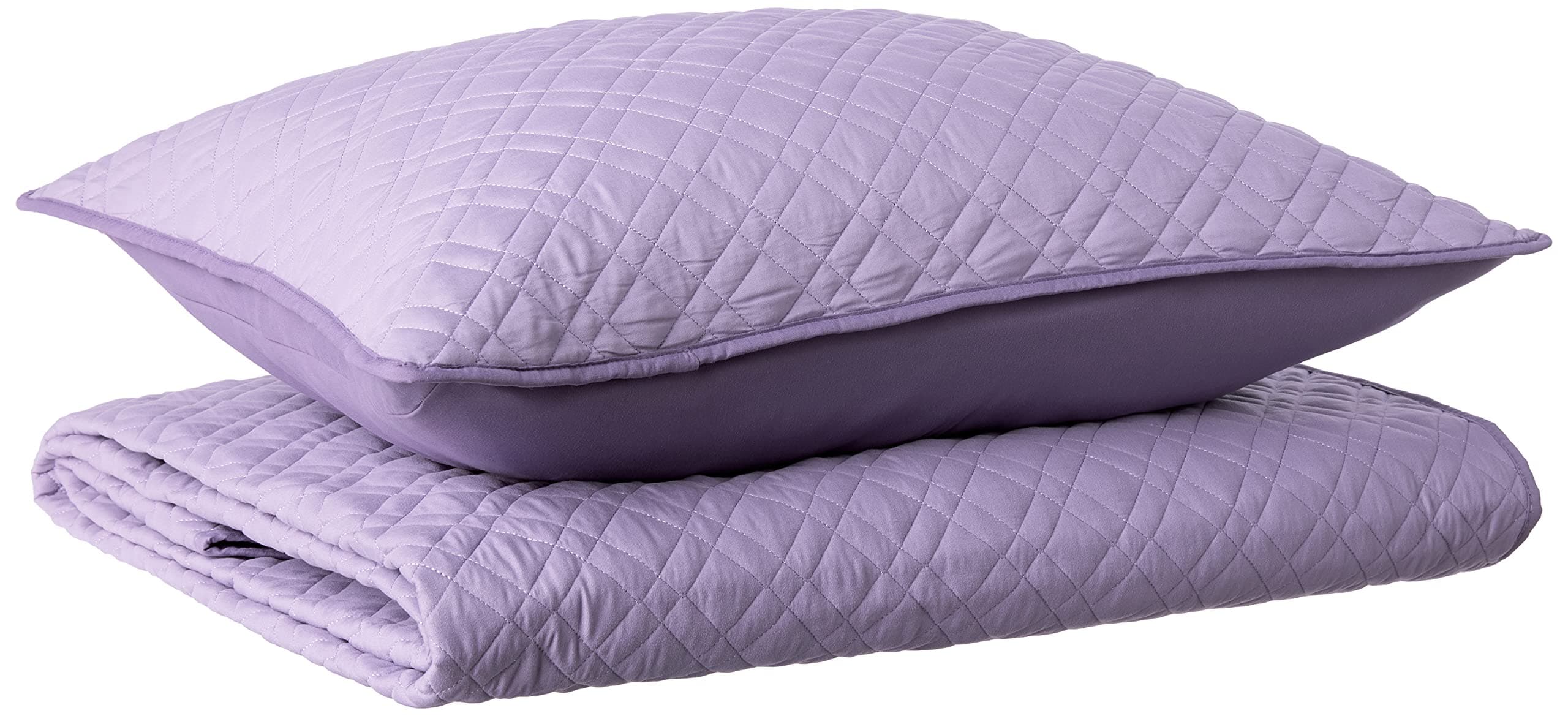 URBAN PLAYGROUND All Seasons Angelietta Purple Quilt Set - 2 Piece Soft Brushed Microfiber Kids Bedding Set for Boys/Girls - Machine Washable (Twin)