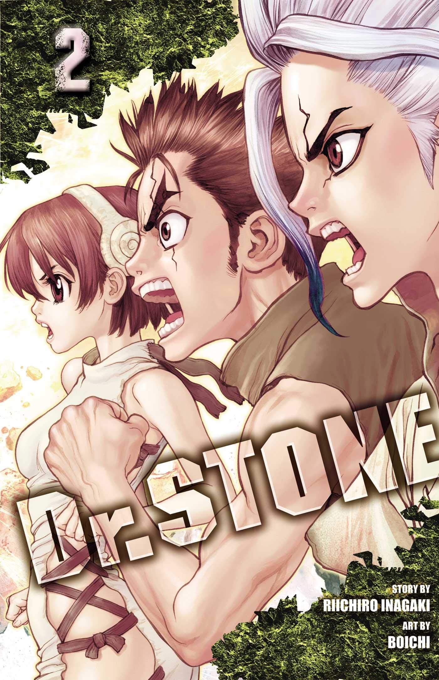 Dr. STONE, Vol. 2: Two Kingdoms Of The Stone World: Volume 2