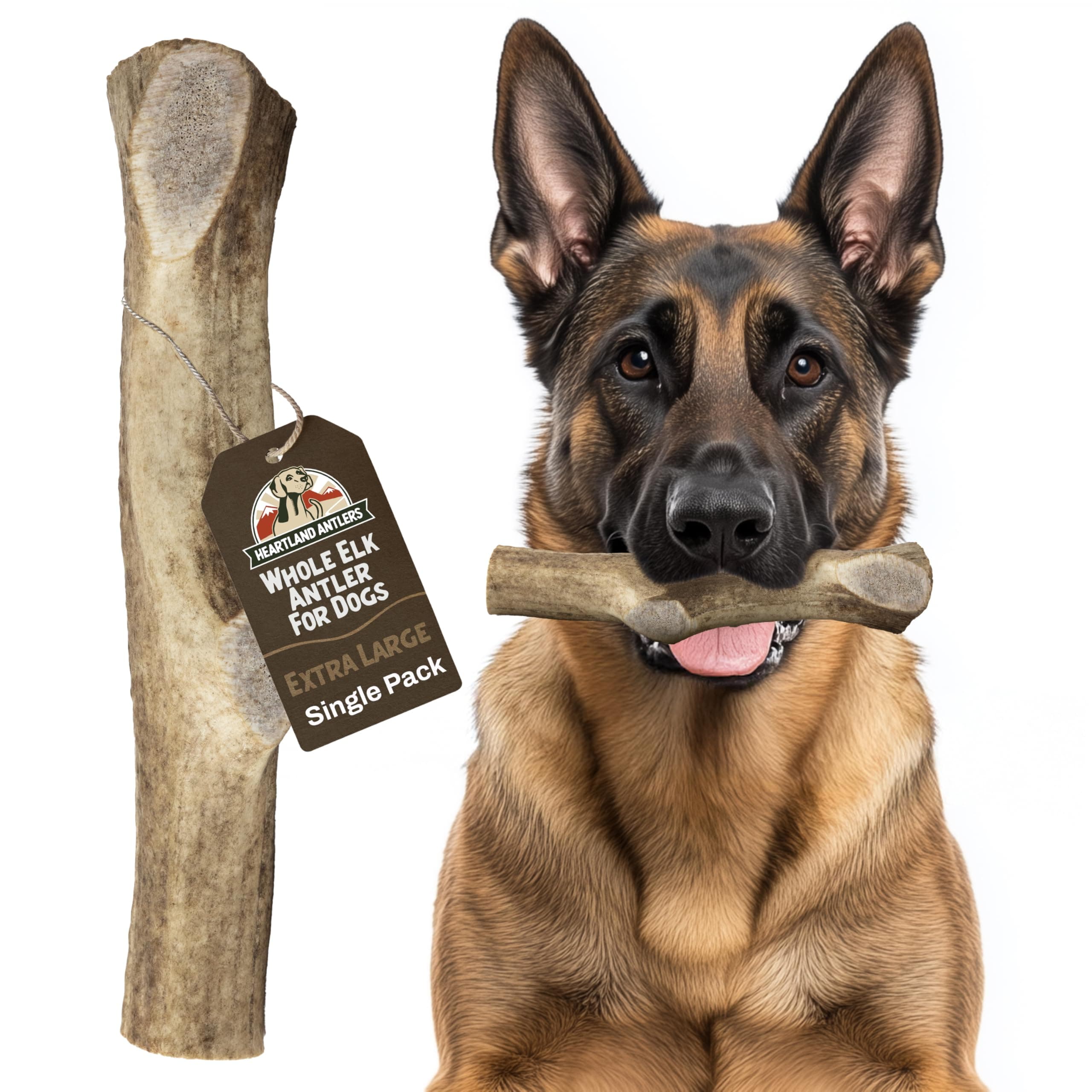 - Heartland Elk Antlers for Dogs - Daily Dental Care Chews for Aggressive Chewers to Reduce Plaque & Prevent Destructive Behavior (Splinter Free, Whole, 8+", X-Large, 1-Pack, Grade A, USA Made)