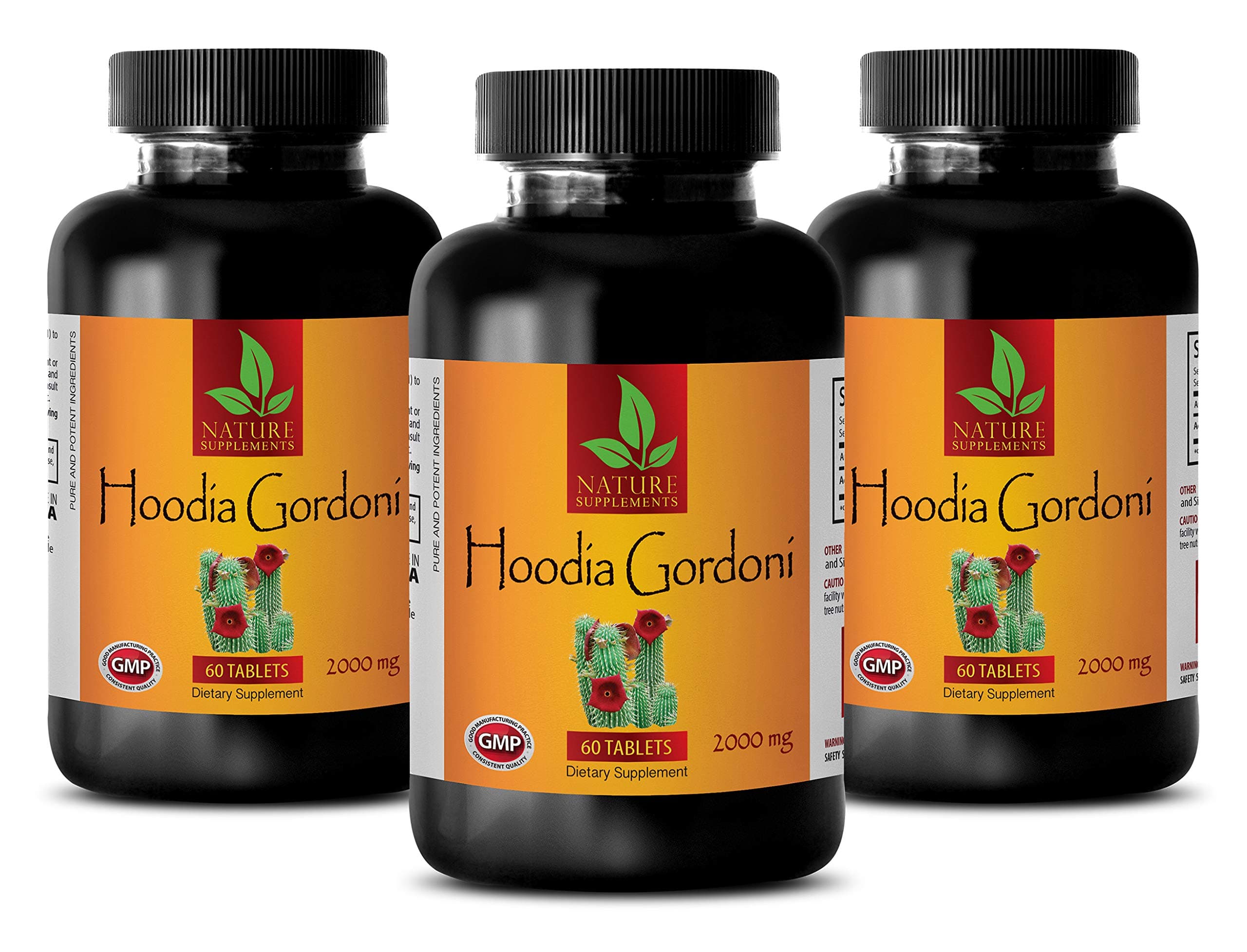 Appetite suppressant and Fat Burner for Women - HOODIA GORDONI 2000 MG - Dietary Supplement - Fat Burner Vitamins for Men - 3 Bottles 180 Tablets