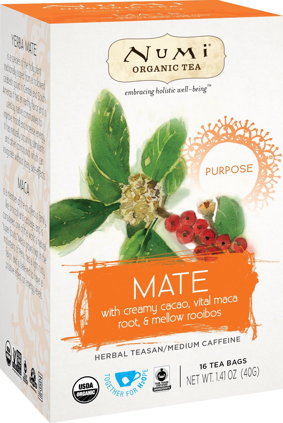 Numi Organic Tea Mate, 16 Count Box of Tea Bags (Pack of 6) Holistic Herbal Teasan (Packaging May Vary)