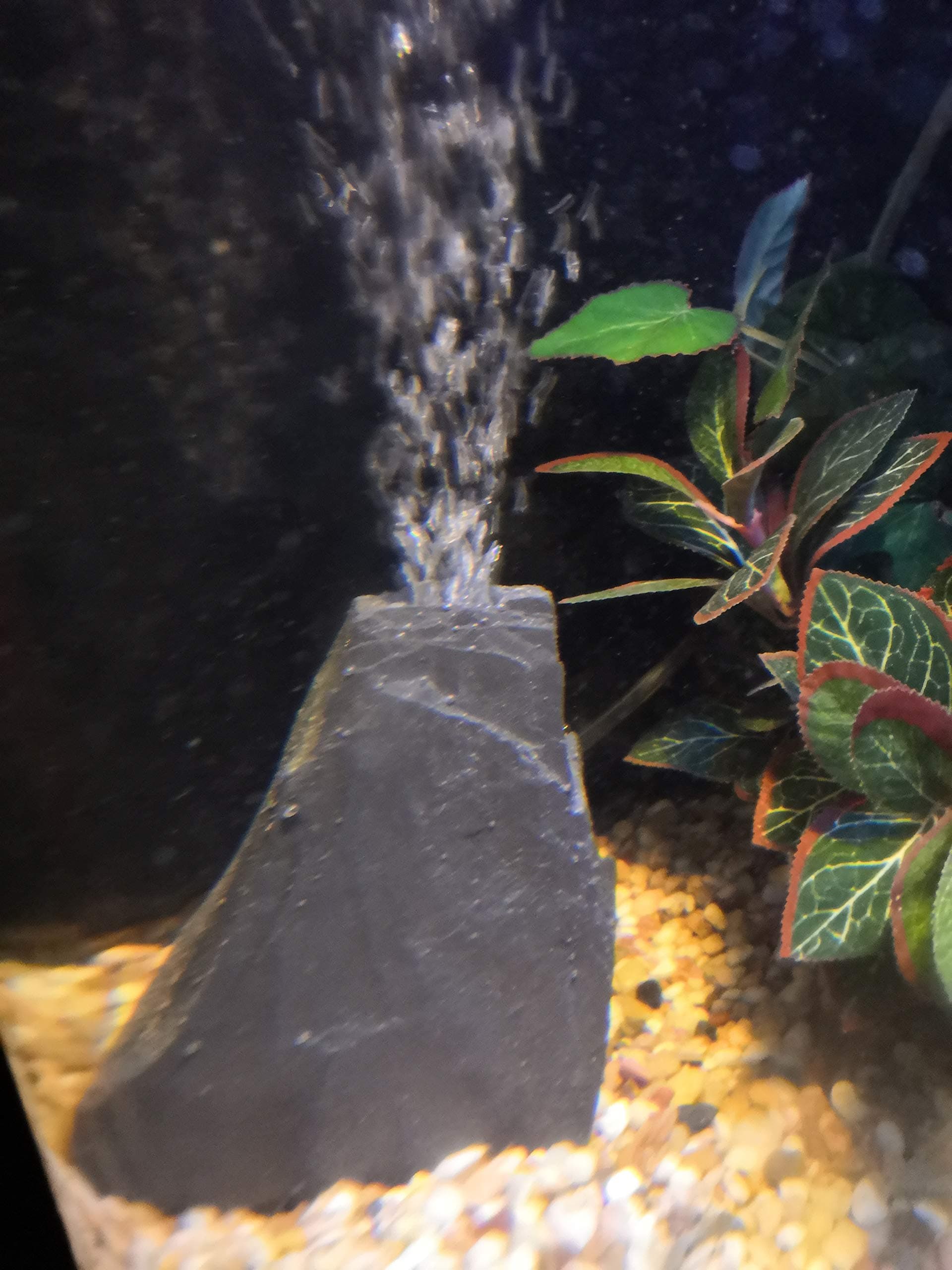 Fennstones large real natural bubble rock slate stone air aquarium fish tank ornament decoration