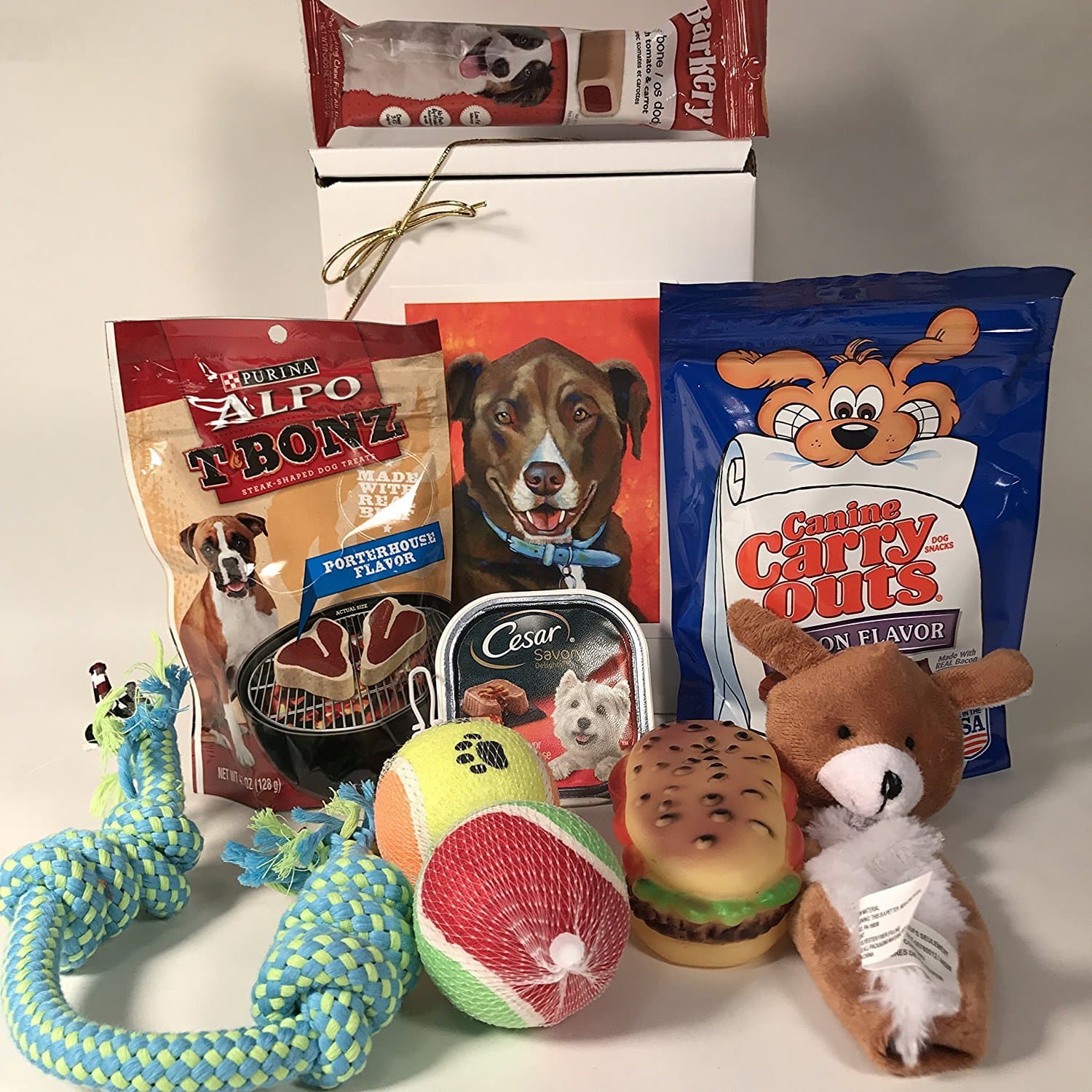 Dog Gift Box Basket for A Favorite Canine/Fur Baby - Send These Treats and Toys to a Furry Pet Friend! Great for Christmas, Birthdays, Get Well/Surgery Recovery...