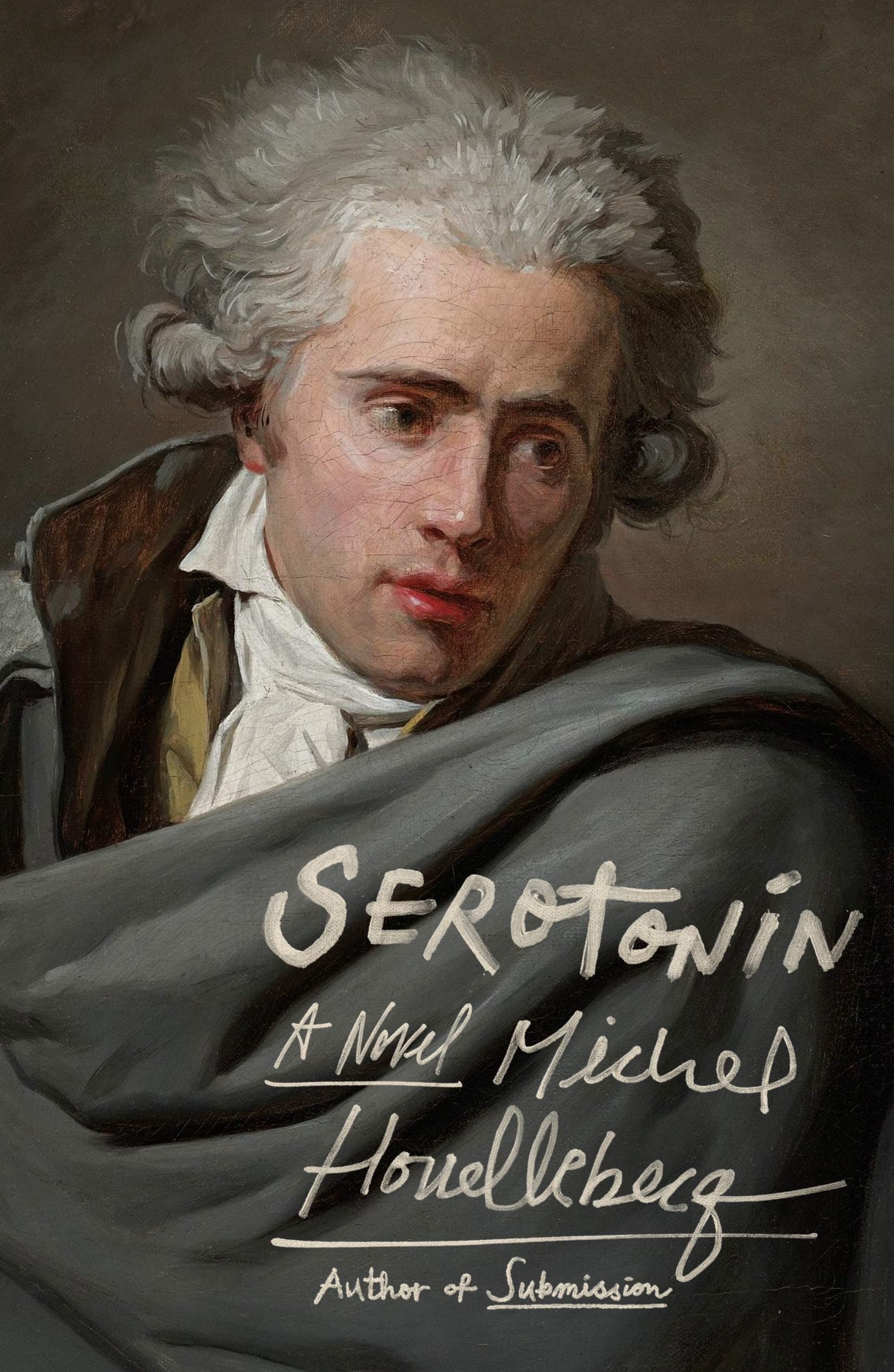 Serotonin: A Novel Hardcover – November 19, 2019