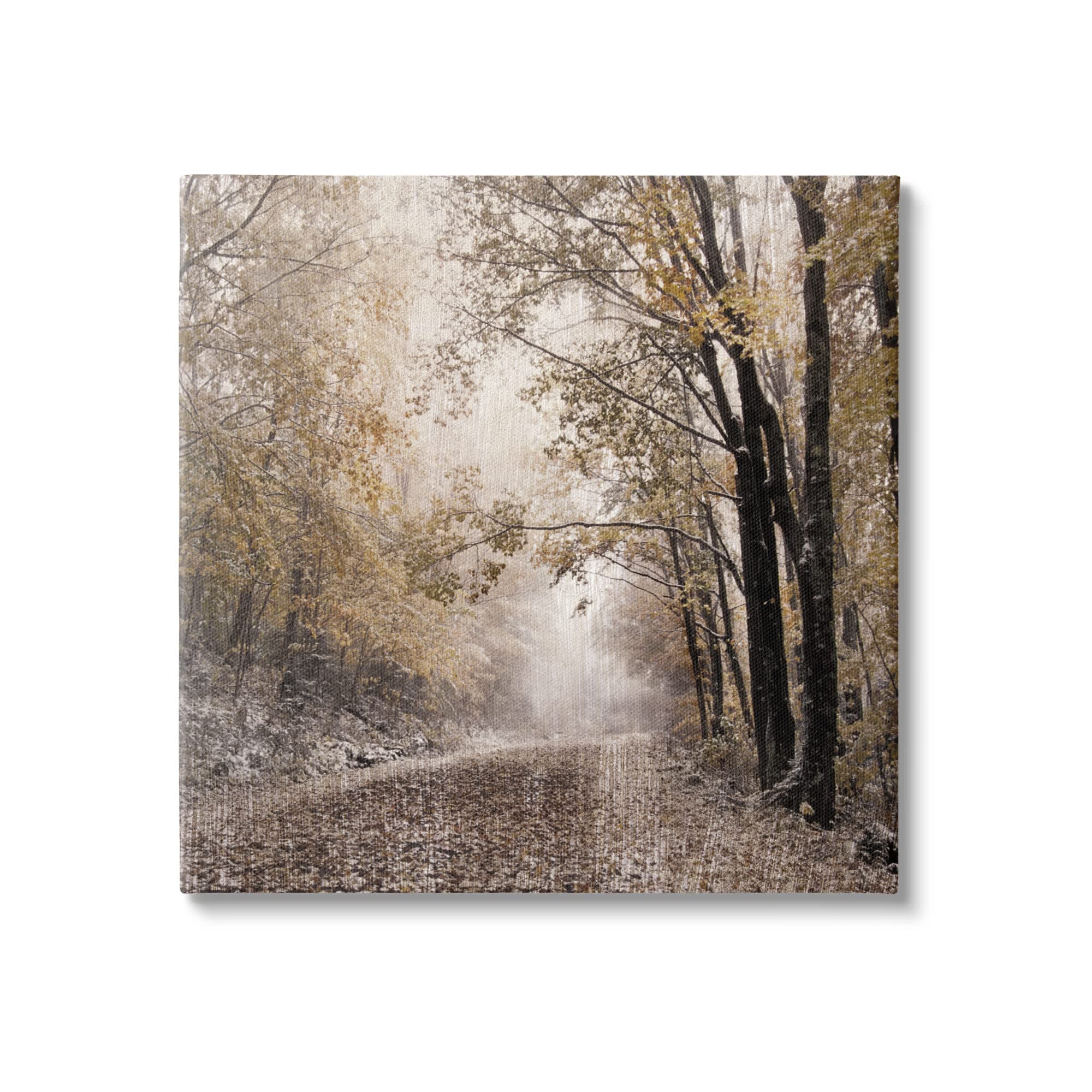 Stupell Industries Sunlit Woodland Nature Trail Canvas Wall Art, Design by Danita Delimont