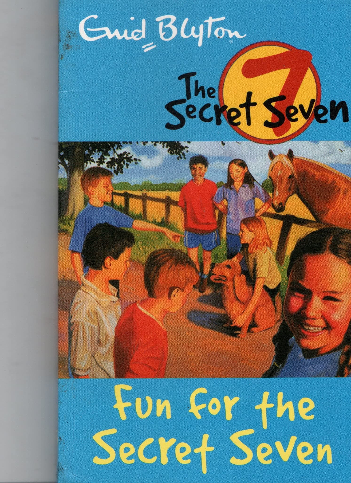 Hodder Children's Books Fun For The Secret Seven: 15