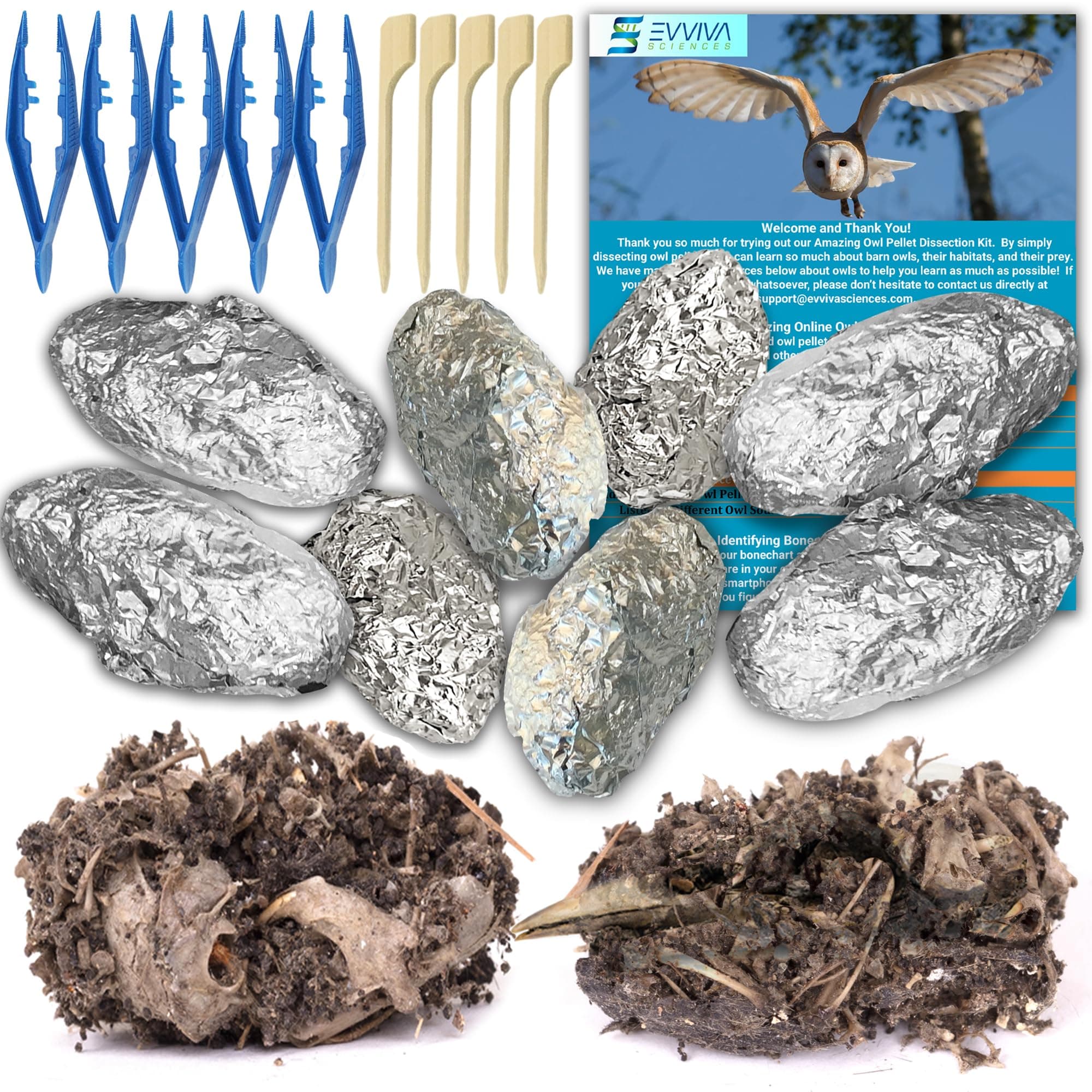Amazing Owl Pellet Dissection Kit – 10 -Piece Owl Pellet Set for Science Lab Projects – w/Tweezers and Wooden Probes – Ideal for Fun Class Projects - Intended for Ages 15 & Older