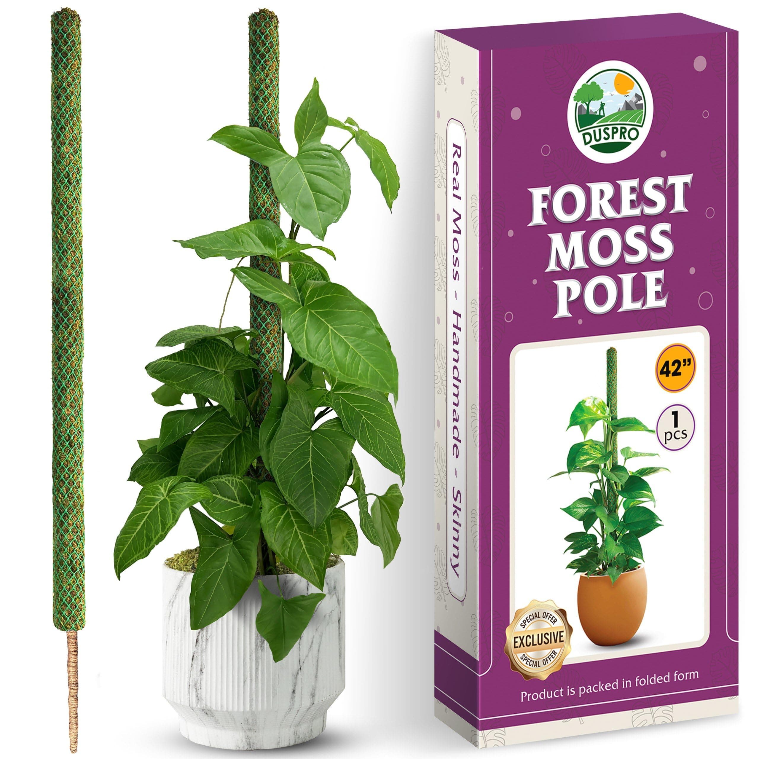 DUSPRO 42’’ Mesh Moss Pole for Climbing Plants, Natural Moss Pole Monstera Plant Support, Real Moss Poles for Plants Indoor, Moss Stick for House Plants, Moss Stakes for Climbing Plants